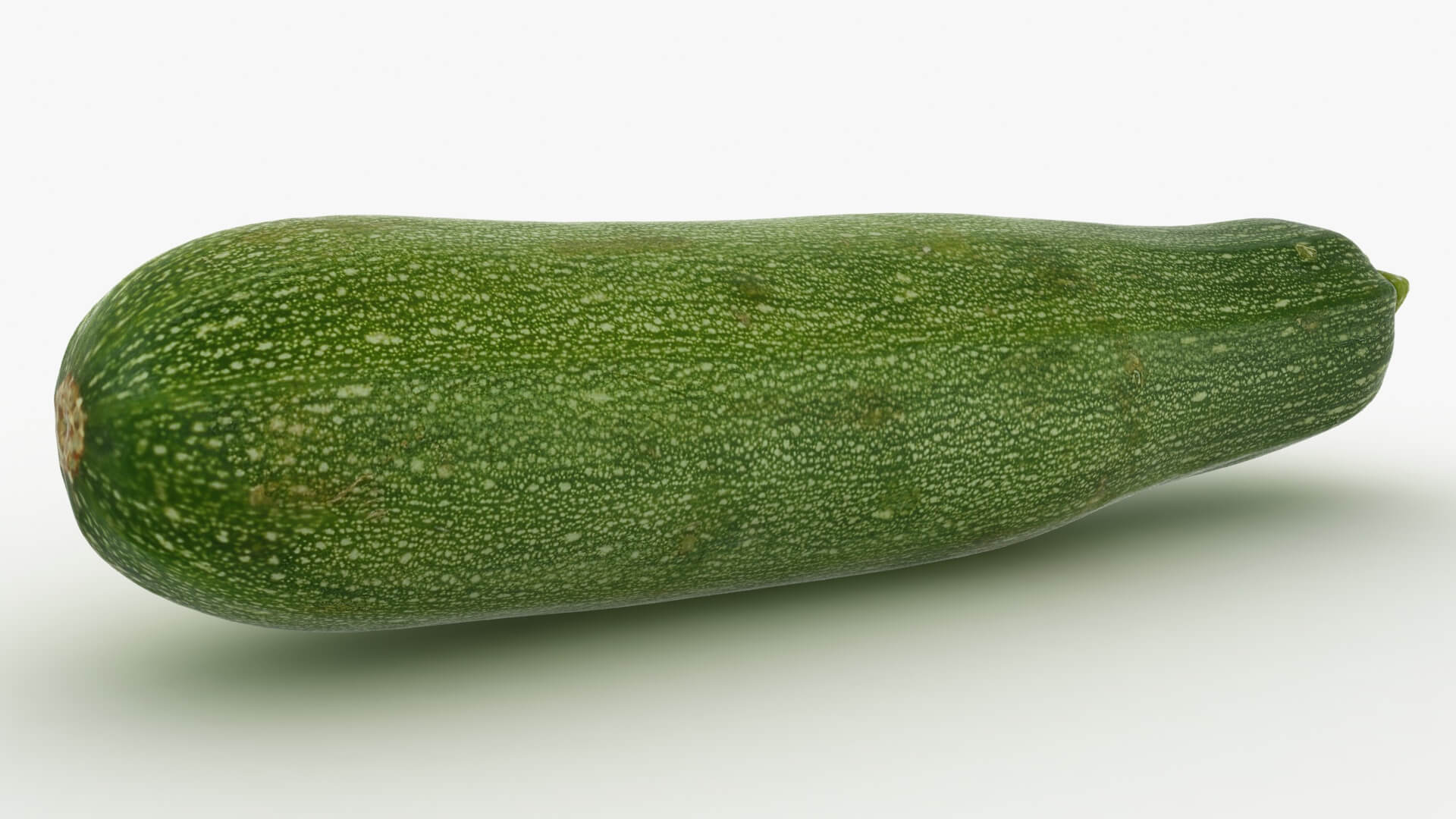 Realistic Zucchini 02 3D Model
