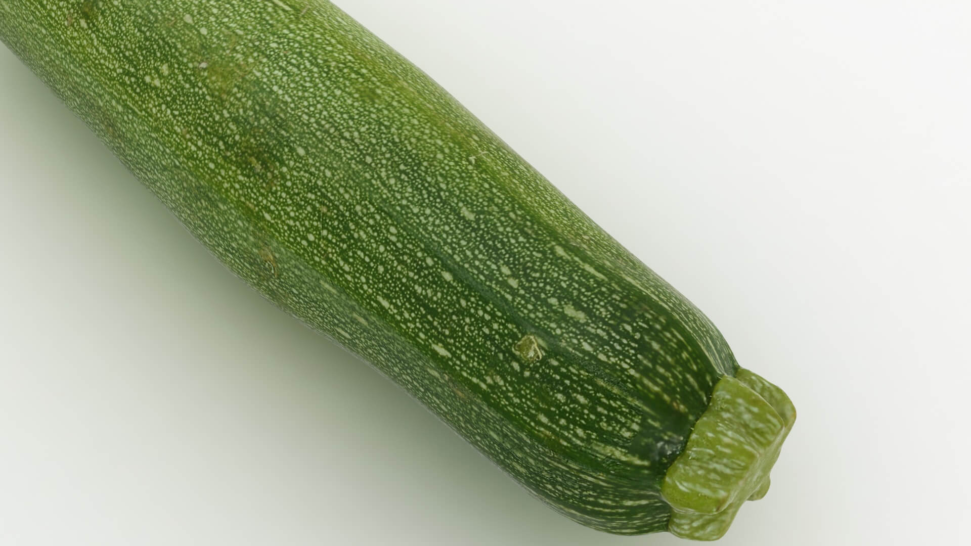 Realistic Zucchini 02 3D Model