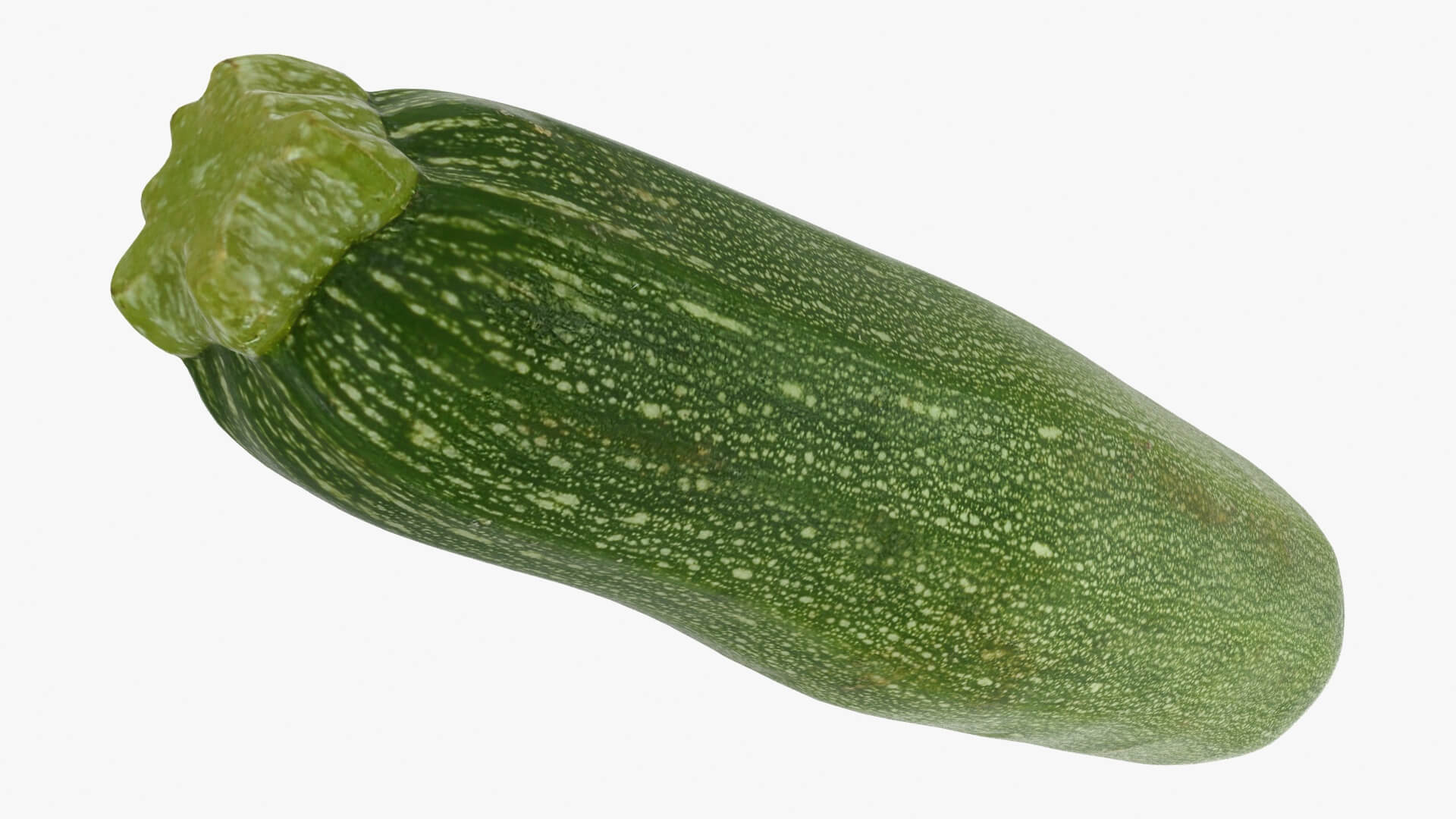 Realistic Zucchini 02 3D Model