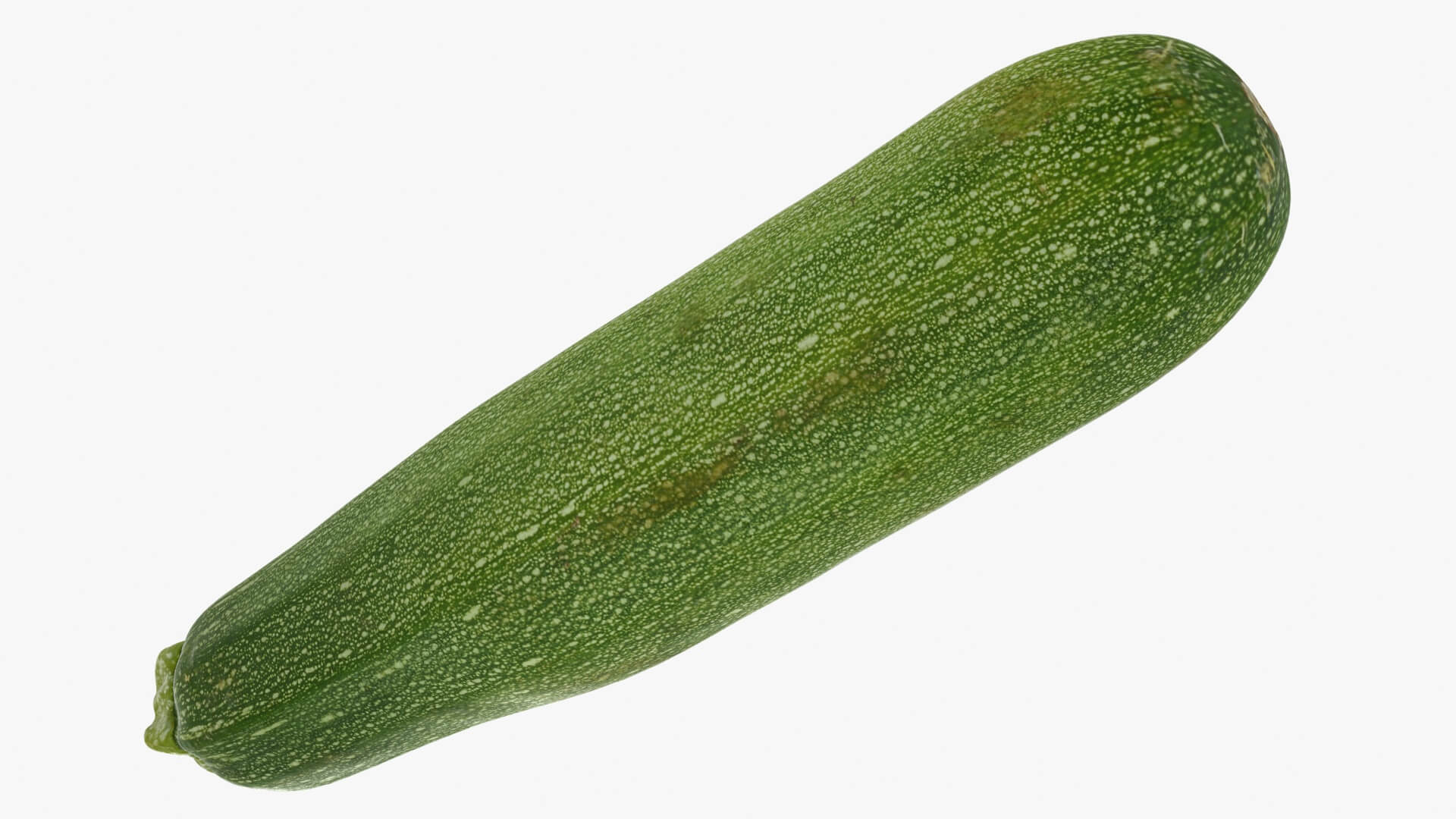 Realistic Zucchini 02 3D Model