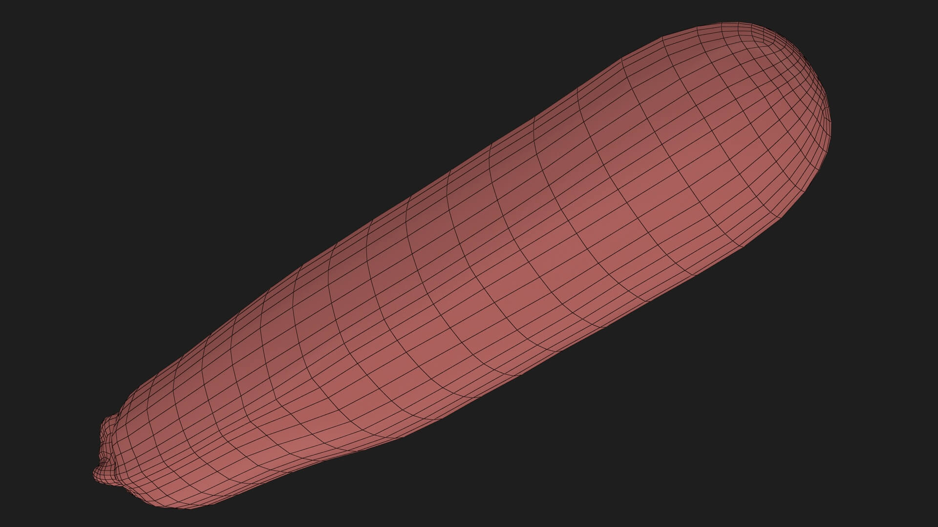 Realistic Zucchini 02 3D Model
