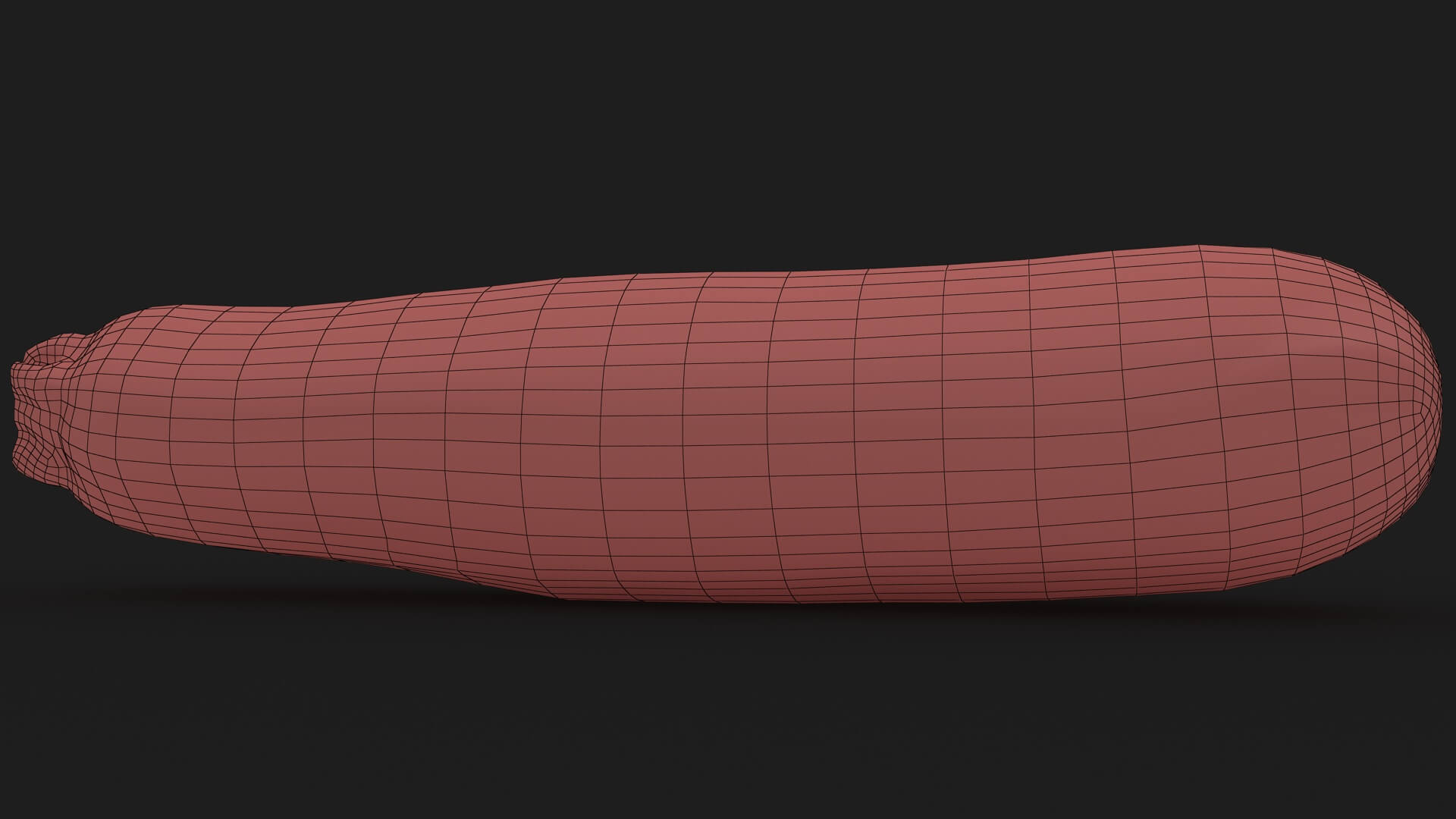 Realistic Zucchini 02 3D Model