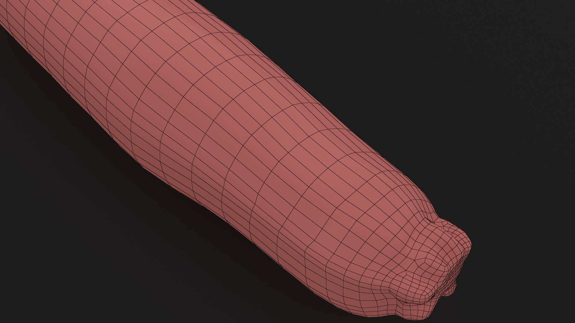 Realistic Zucchini 02 3D Model