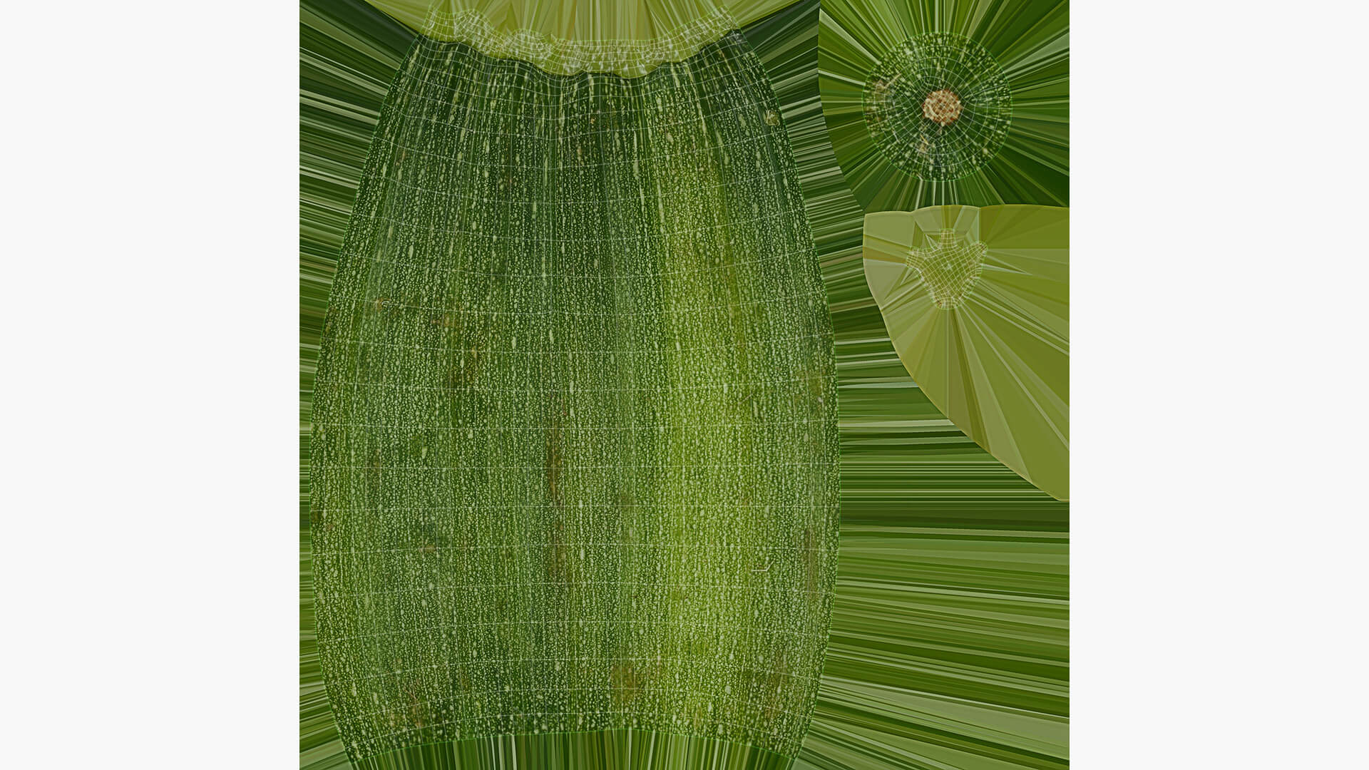 Realistic Zucchini 02 3D Model