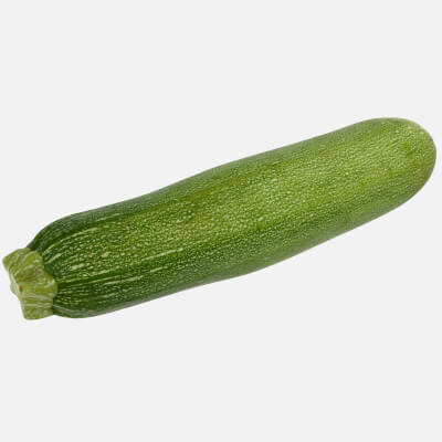 Realistic Zucchini 02