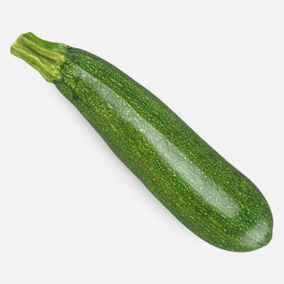 Zucchini 03 - 3D Scanned