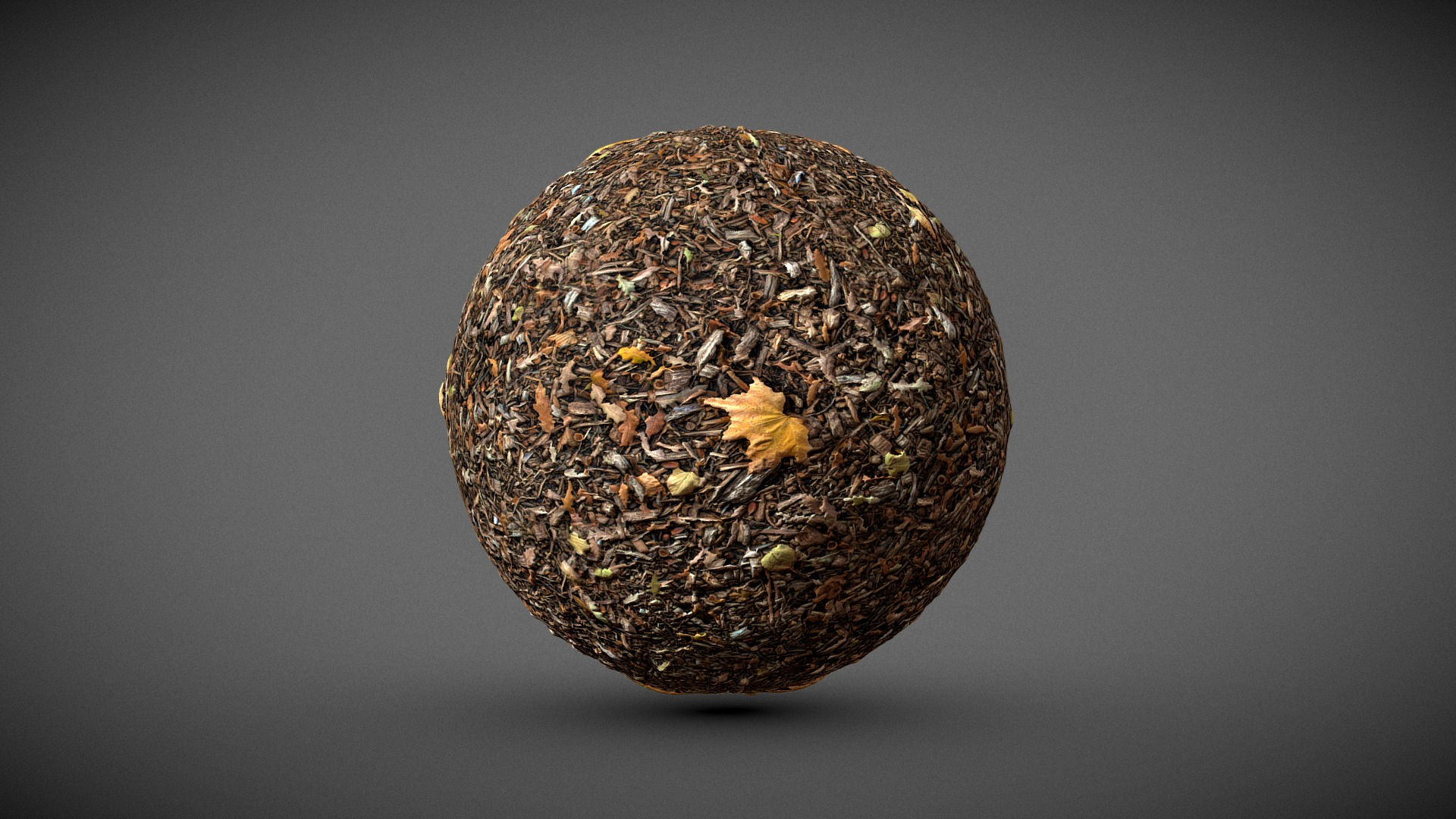 Automn Floor scan Texture 3D Model