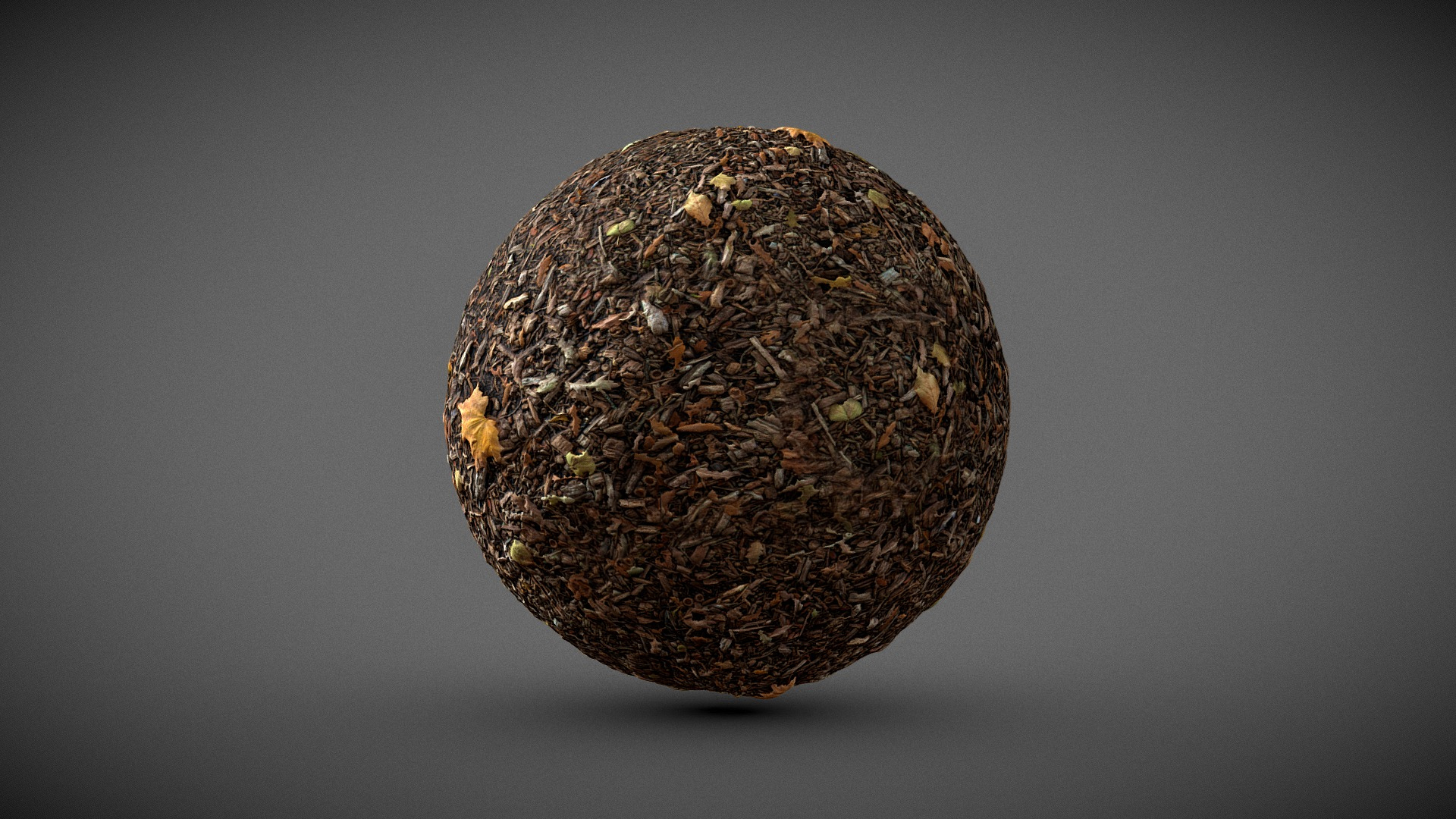 Automn Floor scan Texture 3D Model