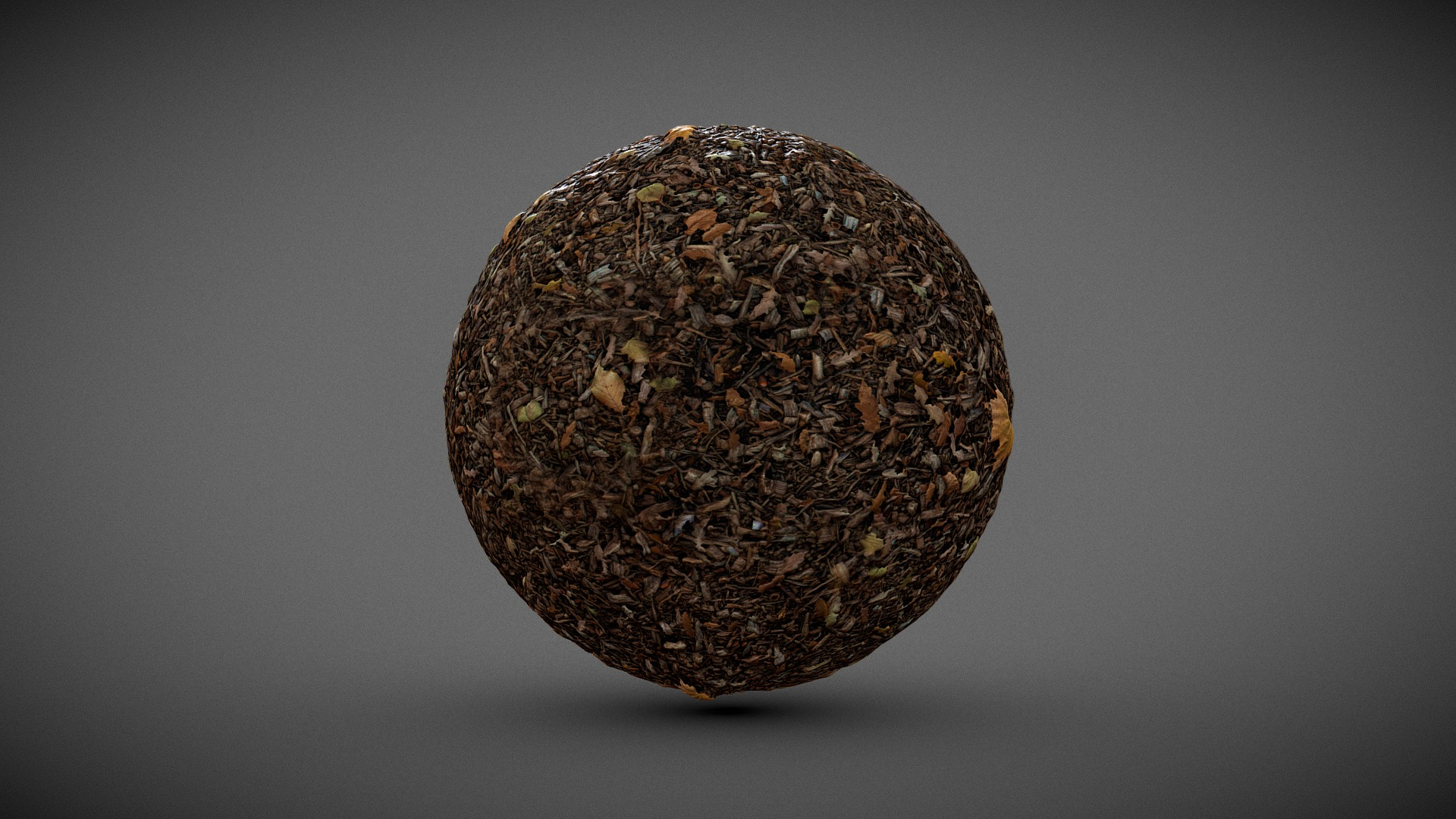Automn Floor scan Texture 3D Model