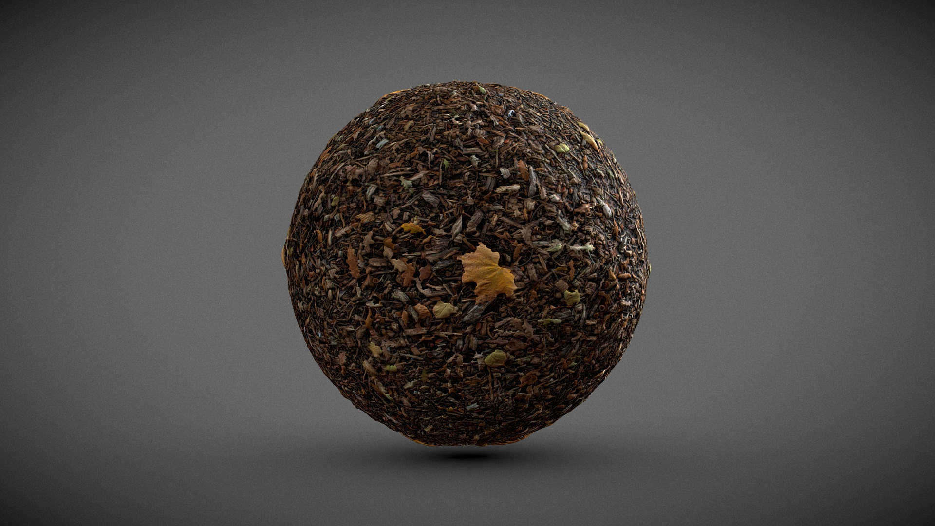 Automn Floor scan Texture 3D Model