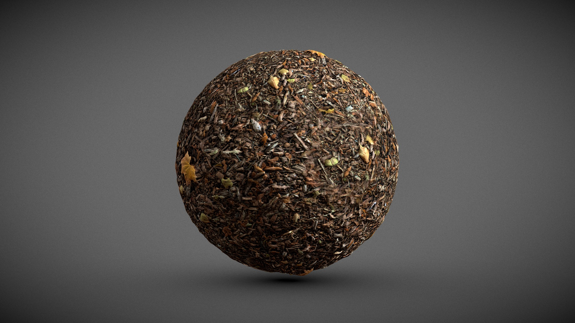 Automn Floor scan Texture 3D Model