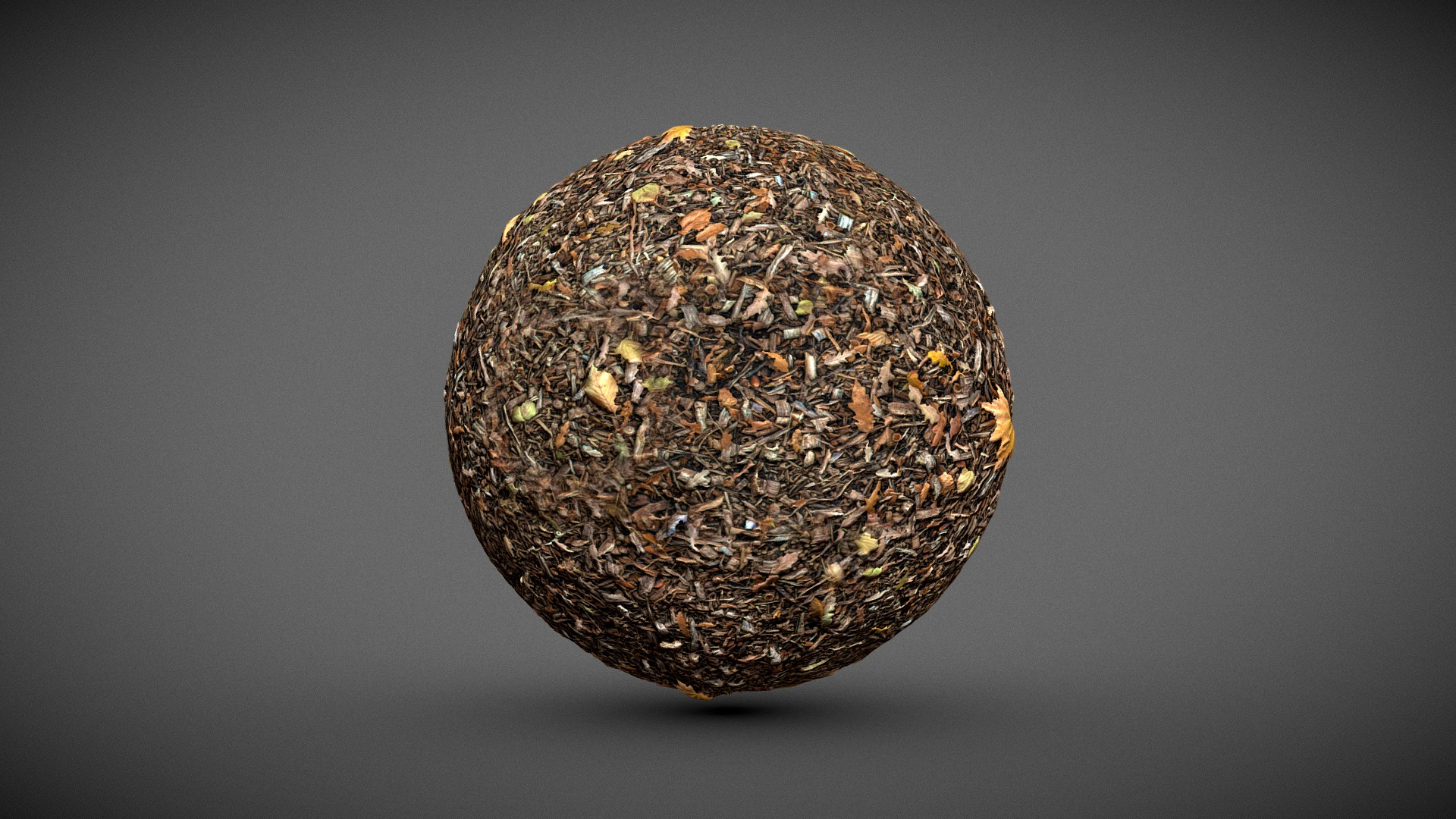Automn Floor scan Texture 3D Model