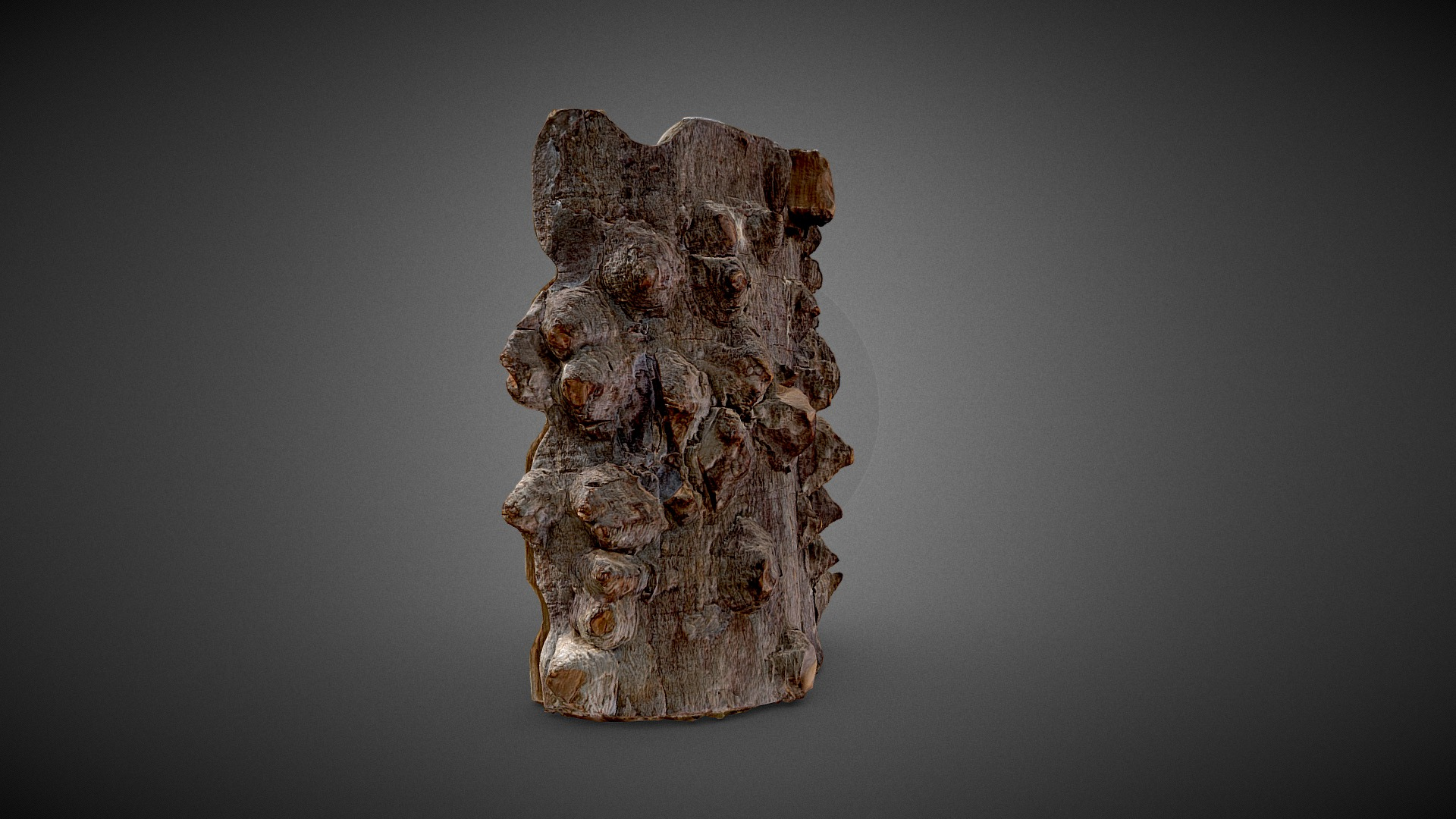 Bouddha Wooden Statue 3D Model