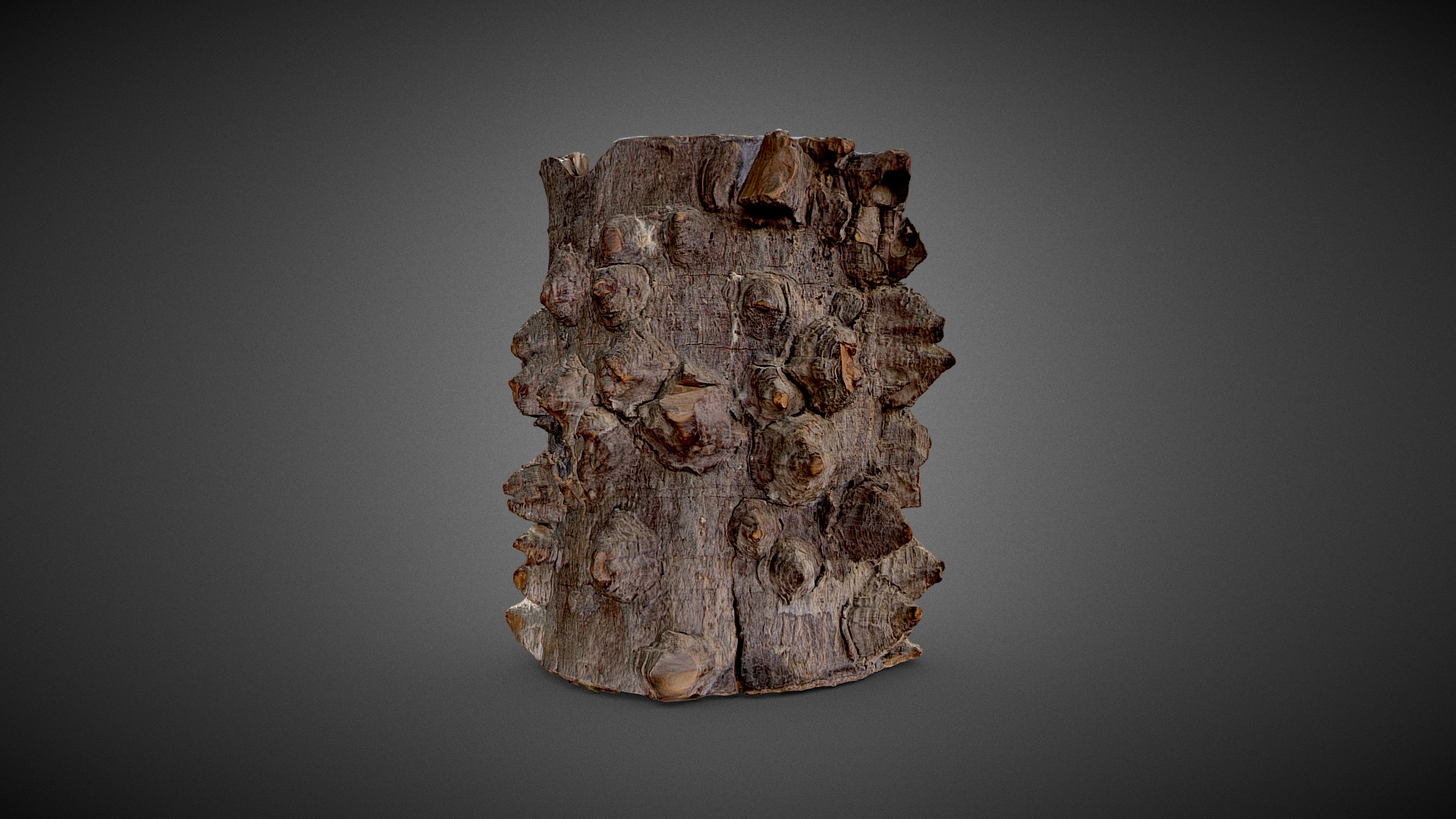Bouddha Wooden Statue 3D Model