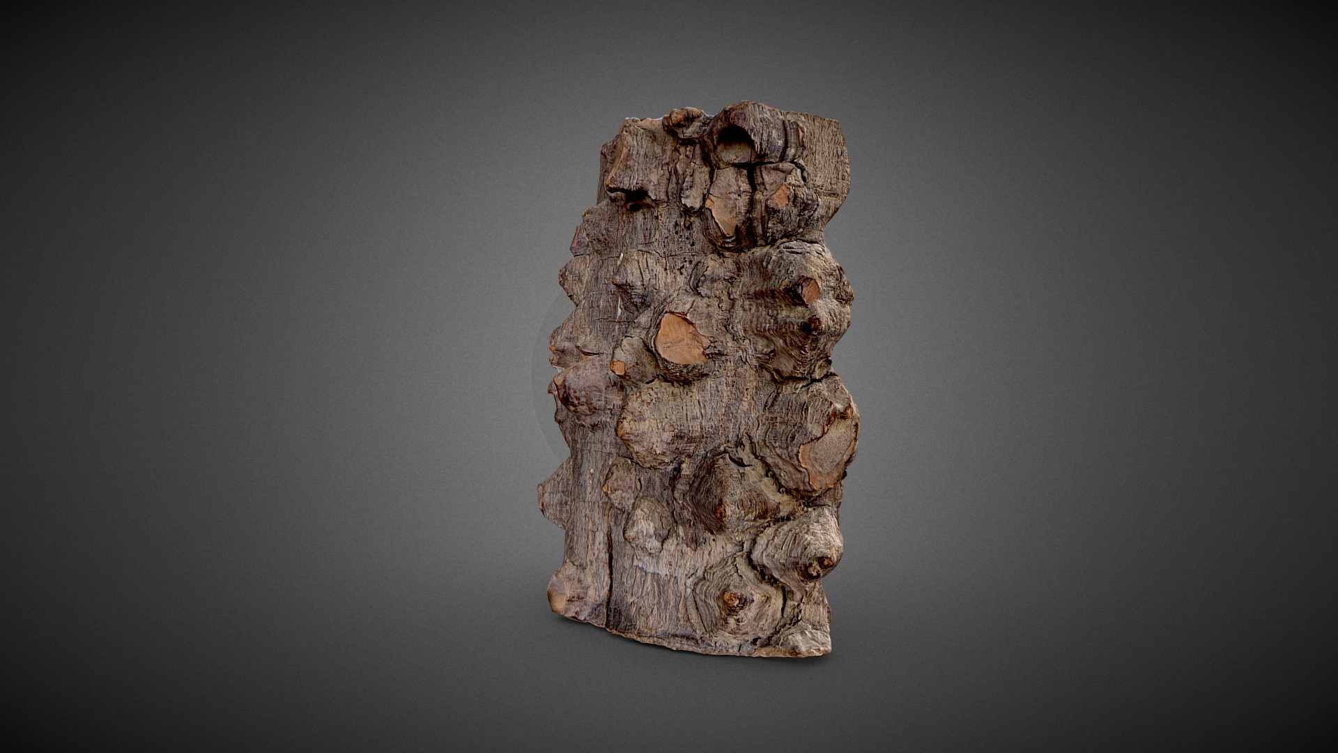 Bouddha Wooden Statue 3D Model