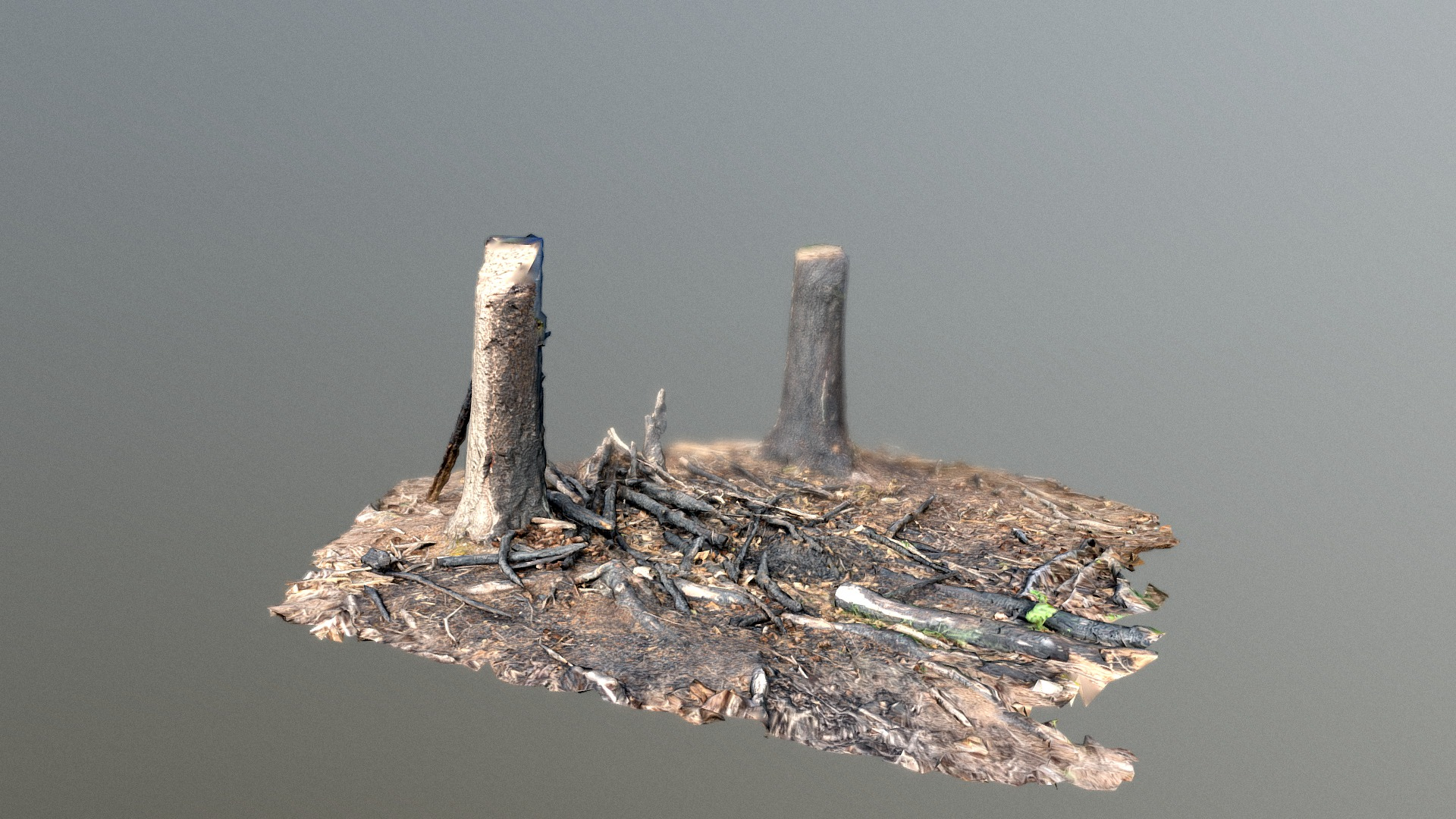 Burnt Wood - 3D Scan 3D Model