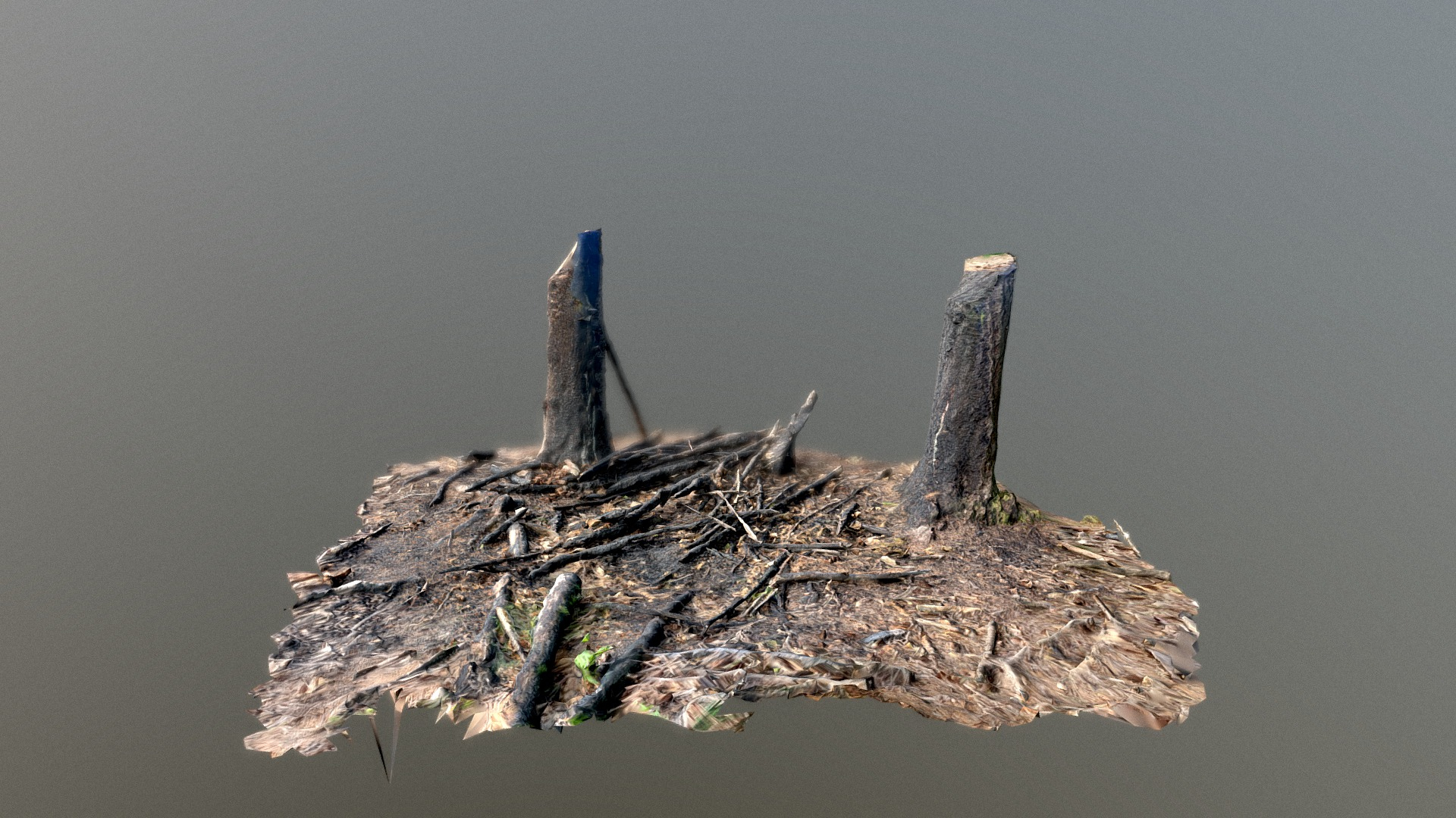 Burnt Wood - 3D Scan 3D Model