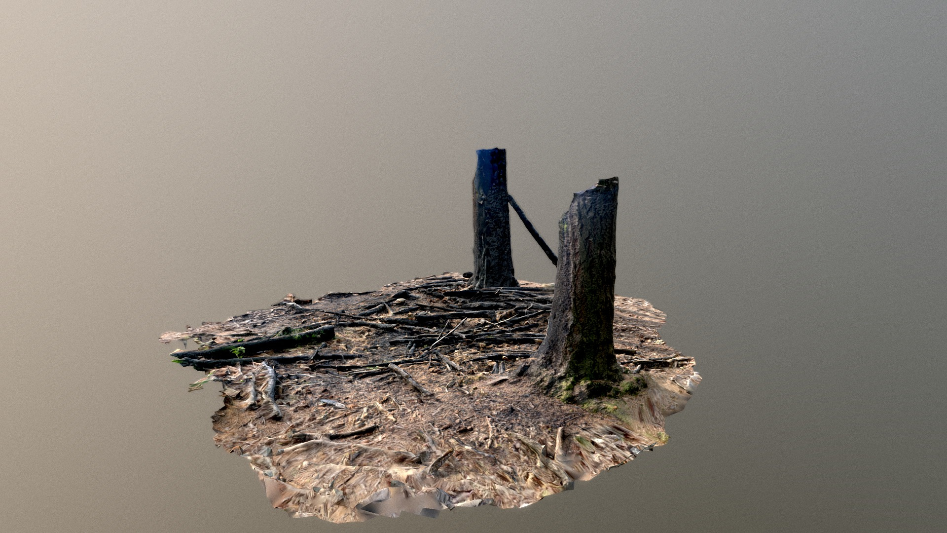 Burnt Wood - 3D Scan 3D Model