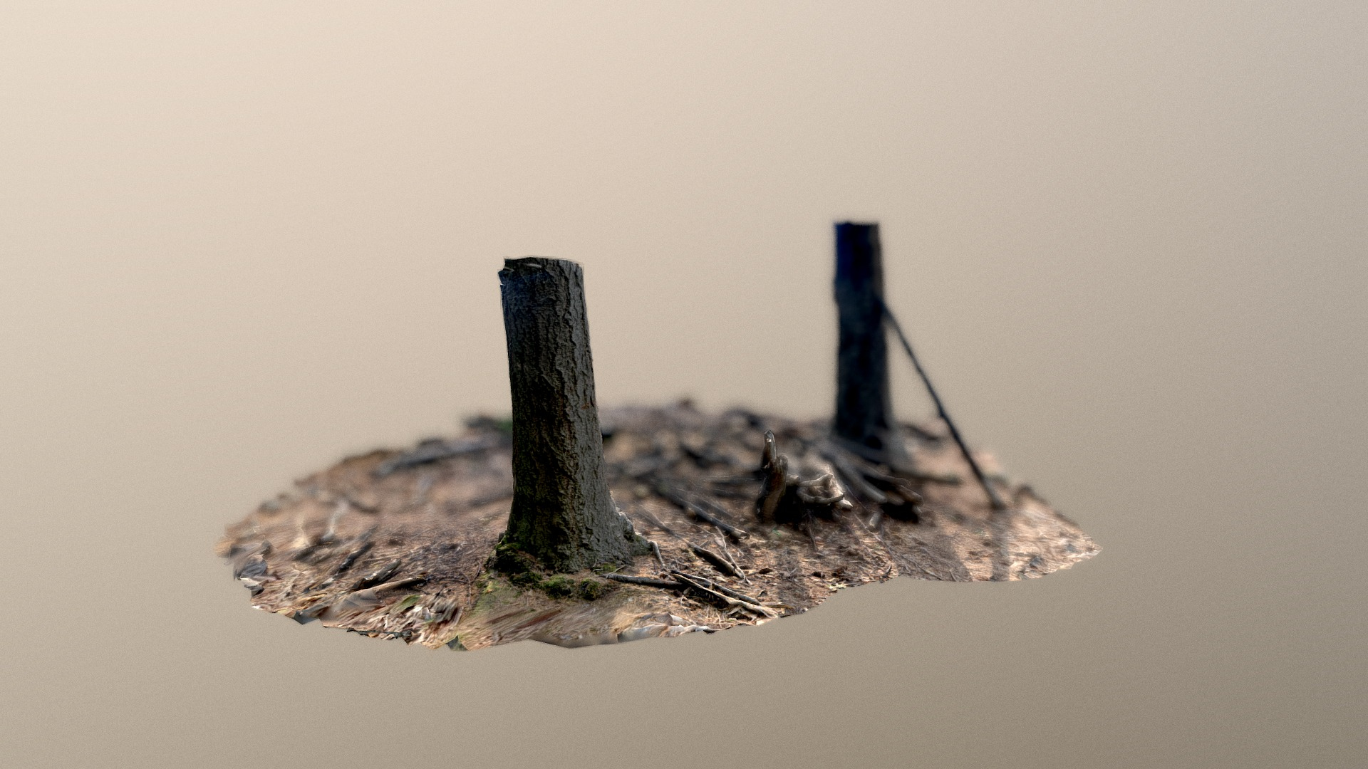 Burnt Wood - 3D Scan 3D Model