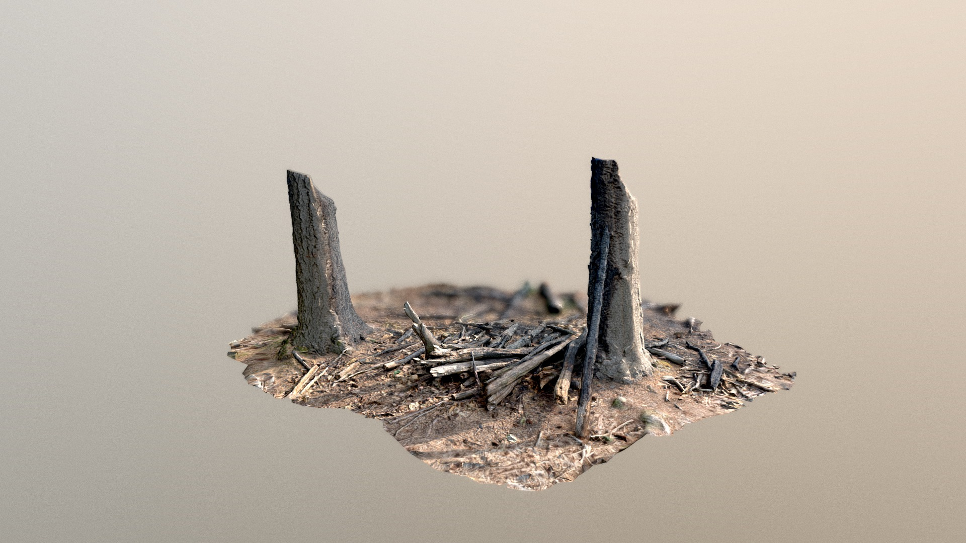 Burnt Wood - 3D Scan 3D Model