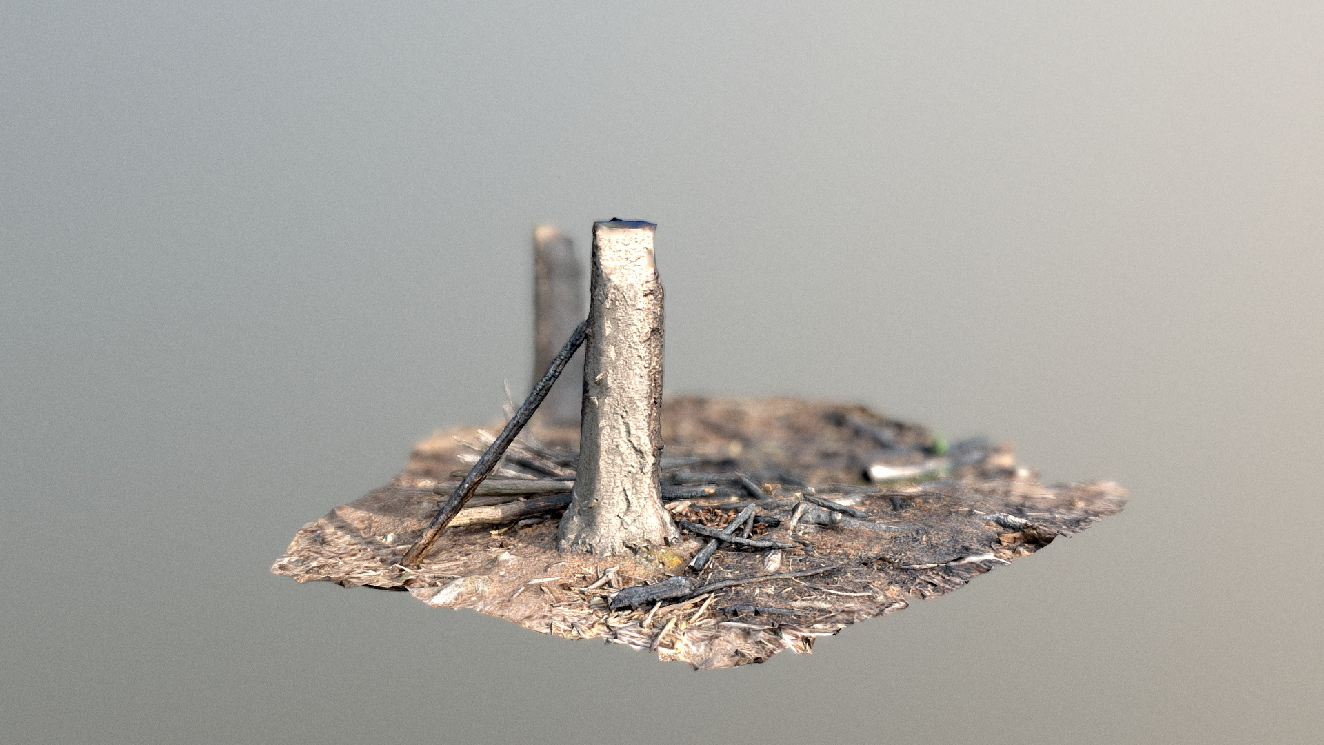 Burnt Wood - 3D Scan 3D Model