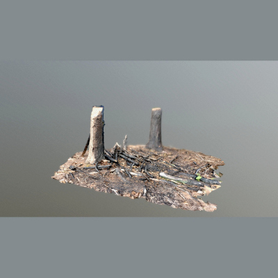 Burnt Wood - 3D Scan