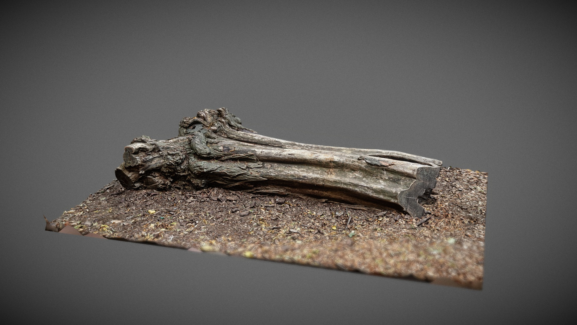 Dead Tree trunk 3D Model
