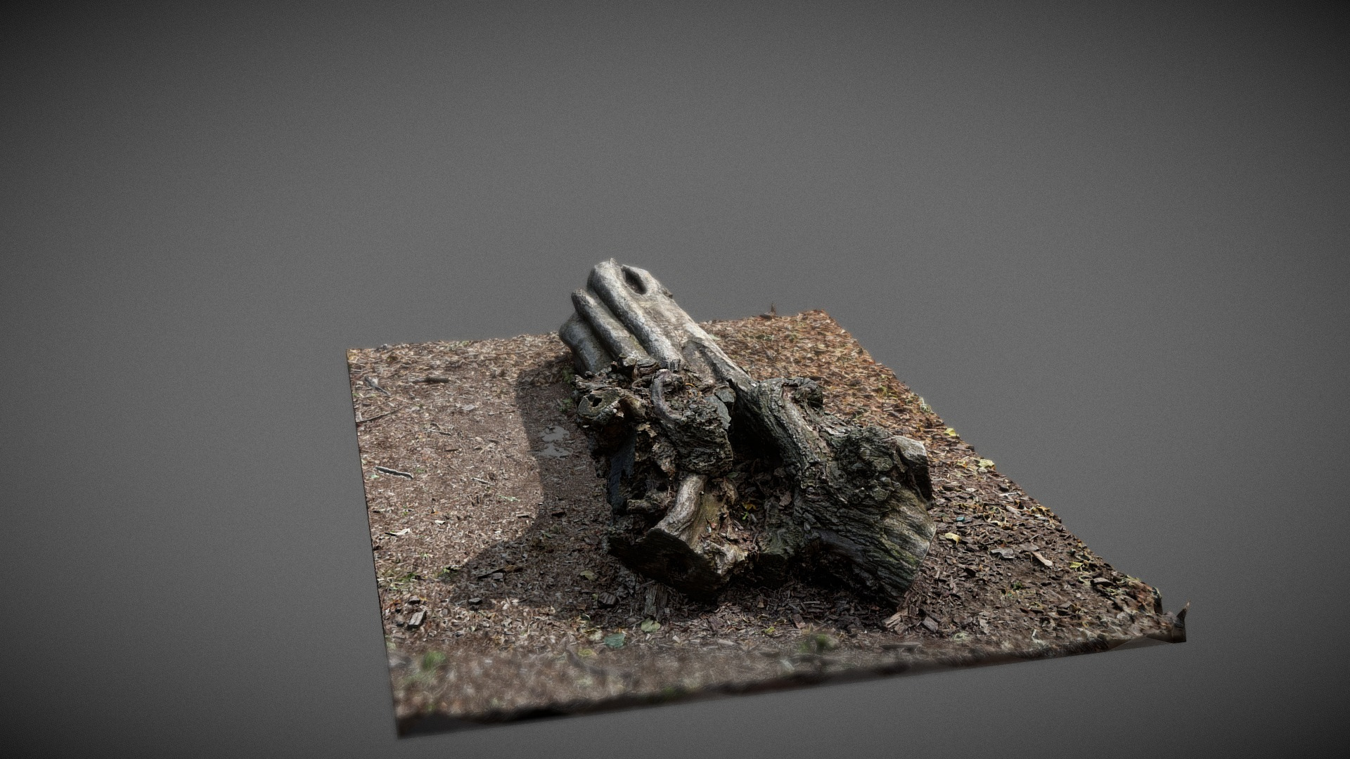 Dead Tree trunk 3D Model
