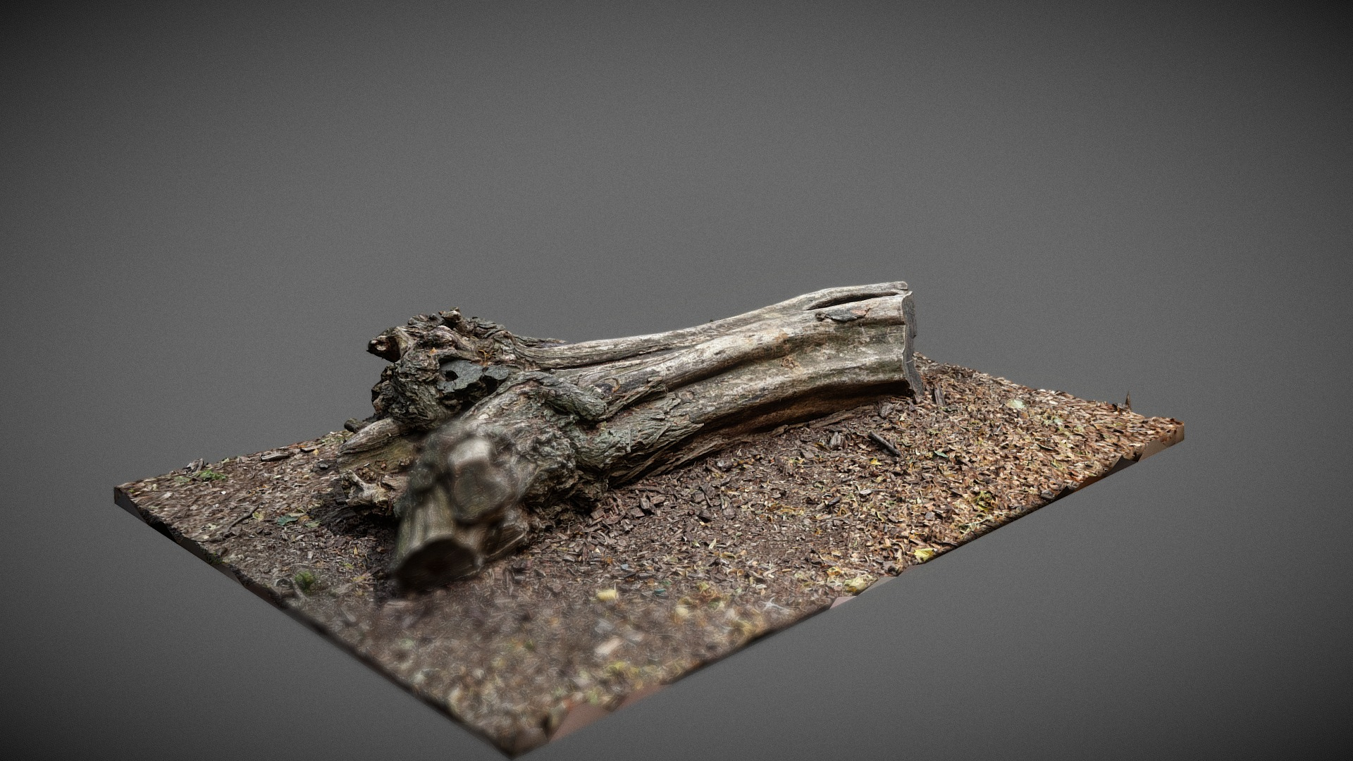 Dead Tree trunk 3D Model