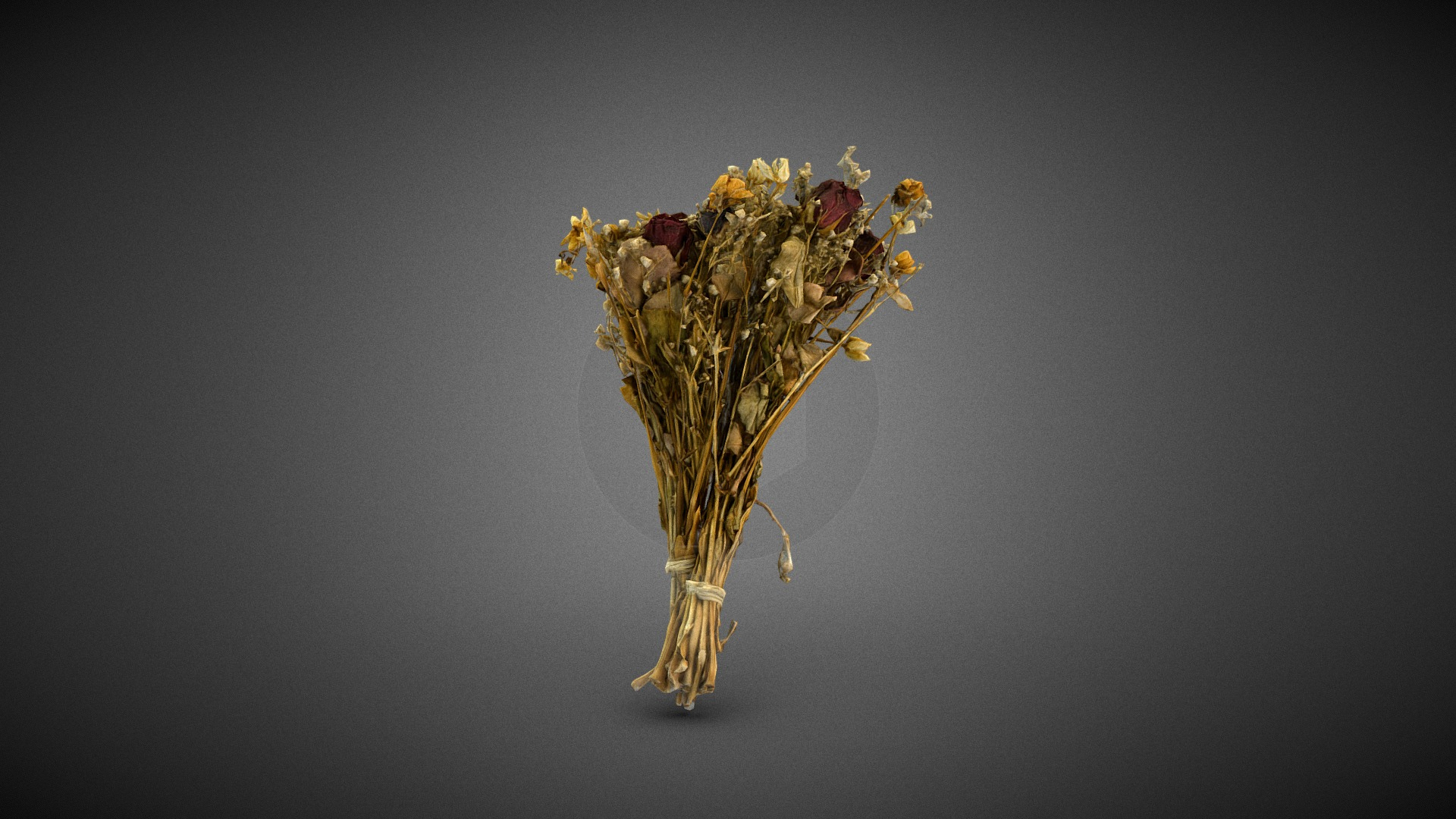 Dry Flowers Bouquet 3D Model