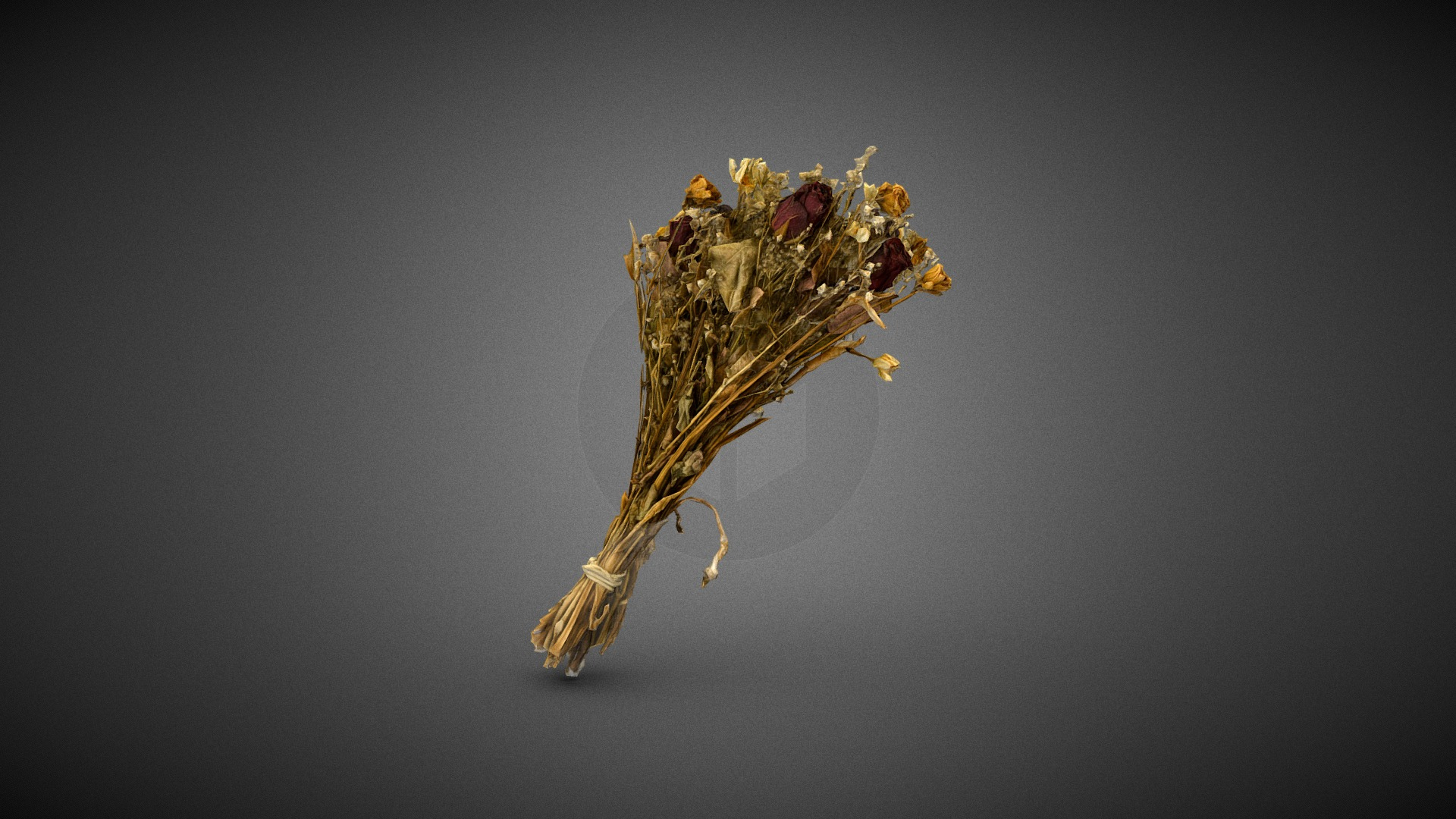 Dry Flowers Bouquet 3D Model