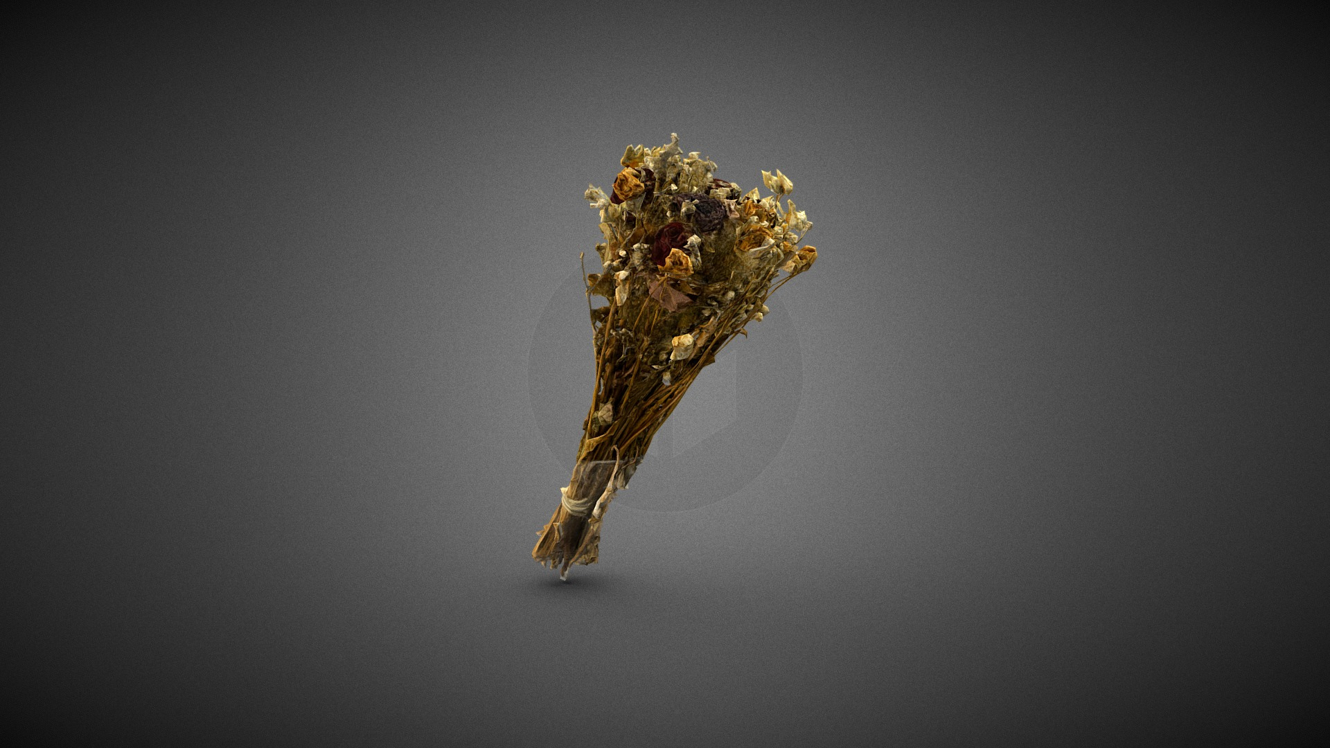Dry Flowers Bouquet 3D Model