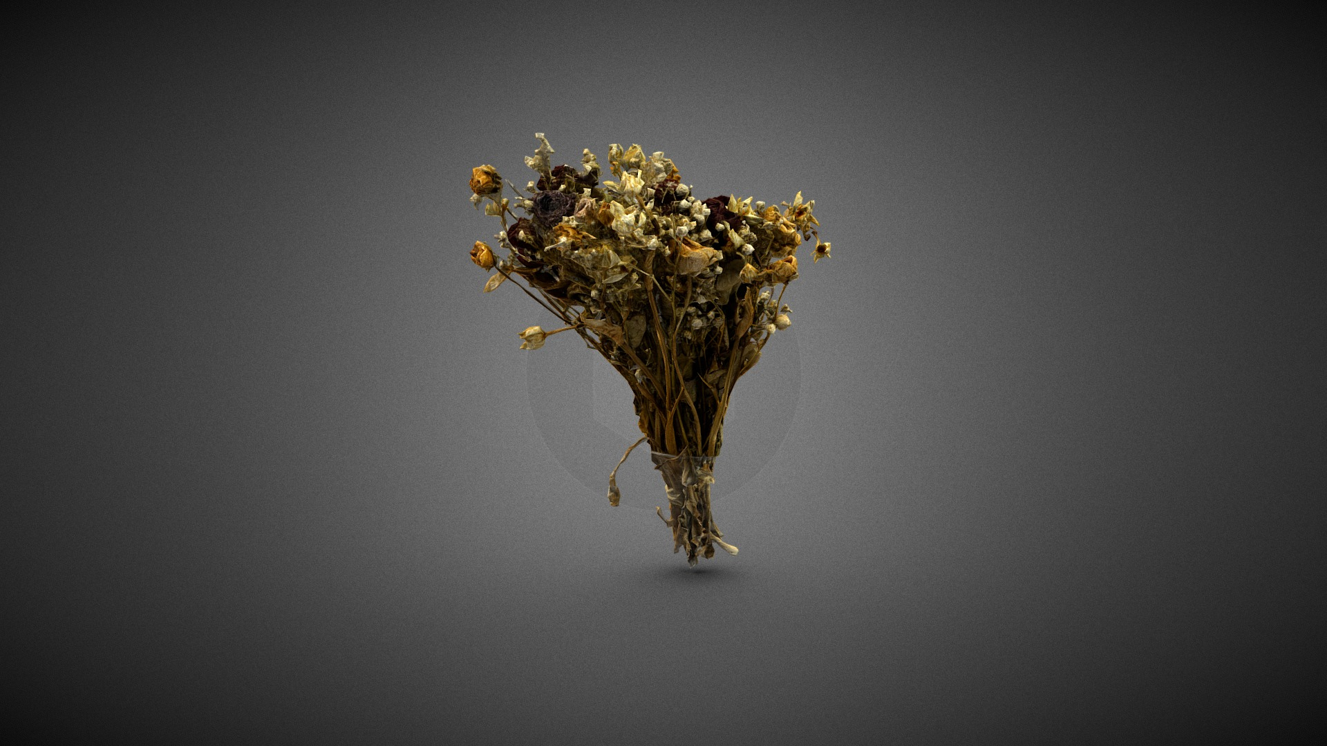 Dry Flowers Bouquet 3D Model