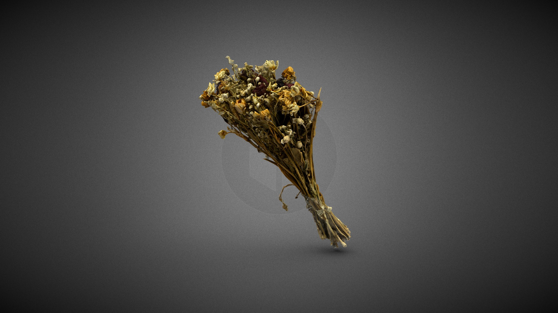Dry Flowers Bouquet 3D Model