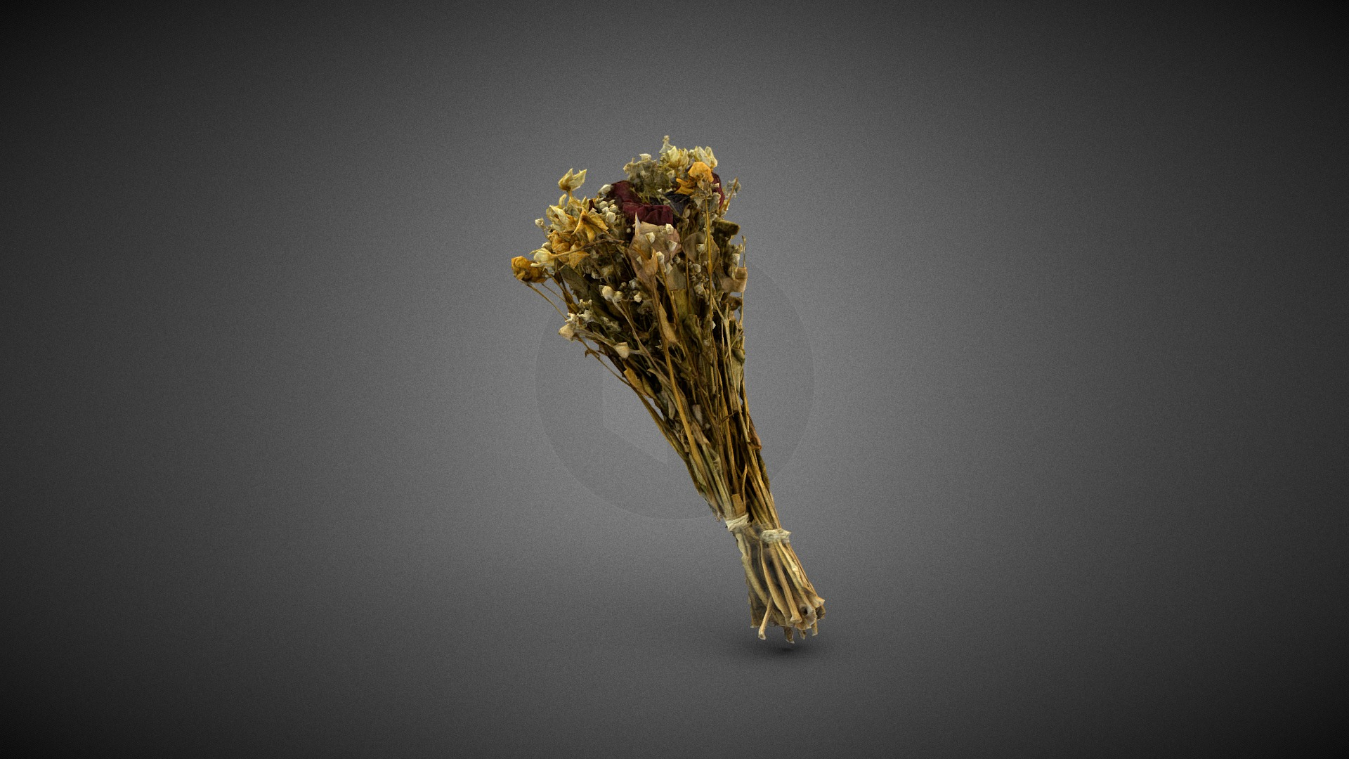 Dry Flowers Bouquet 3D Model