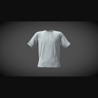Grey T-Shirt Basic