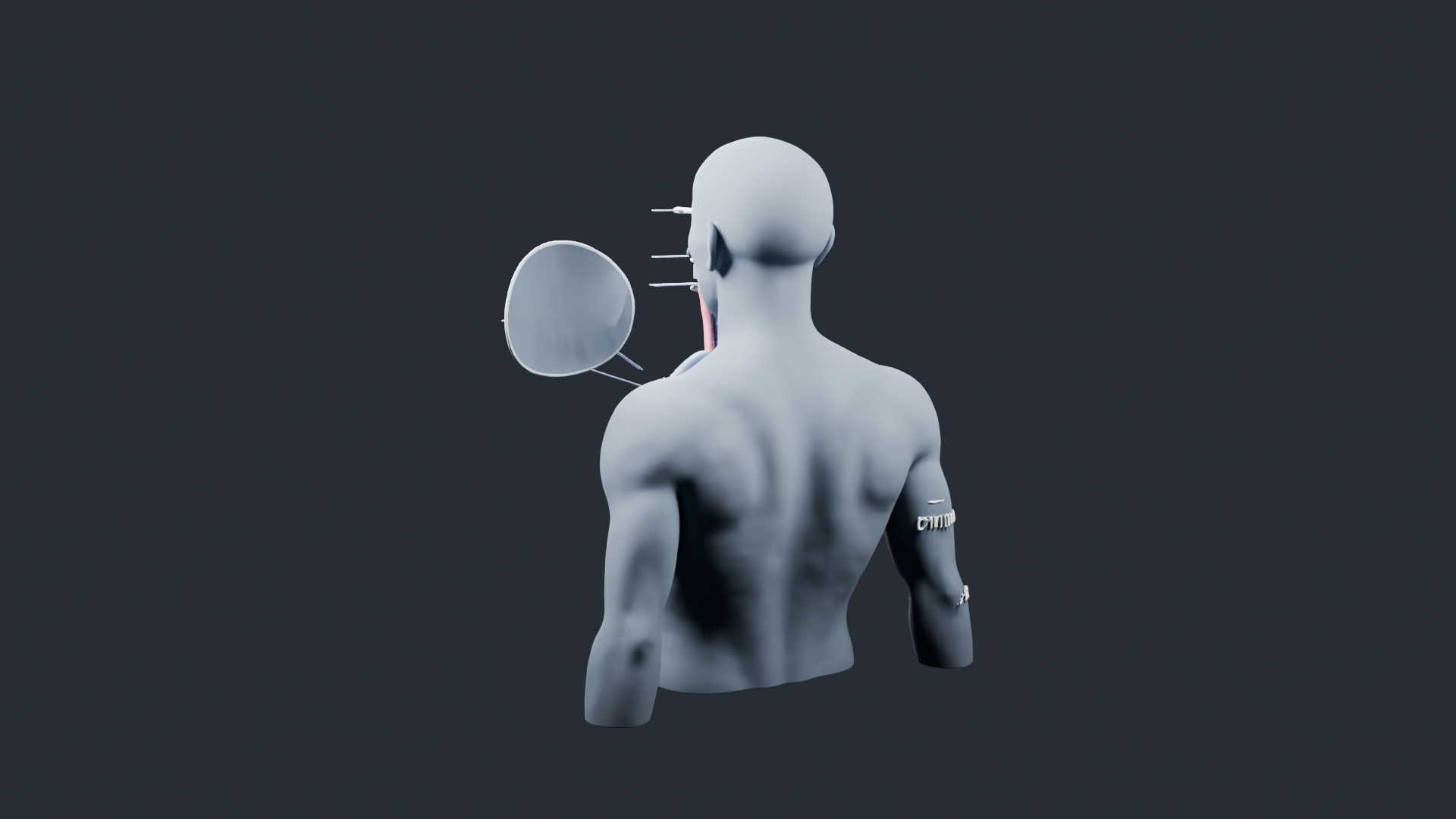 Human Respiratory System Torso - AI Generated 3D Model