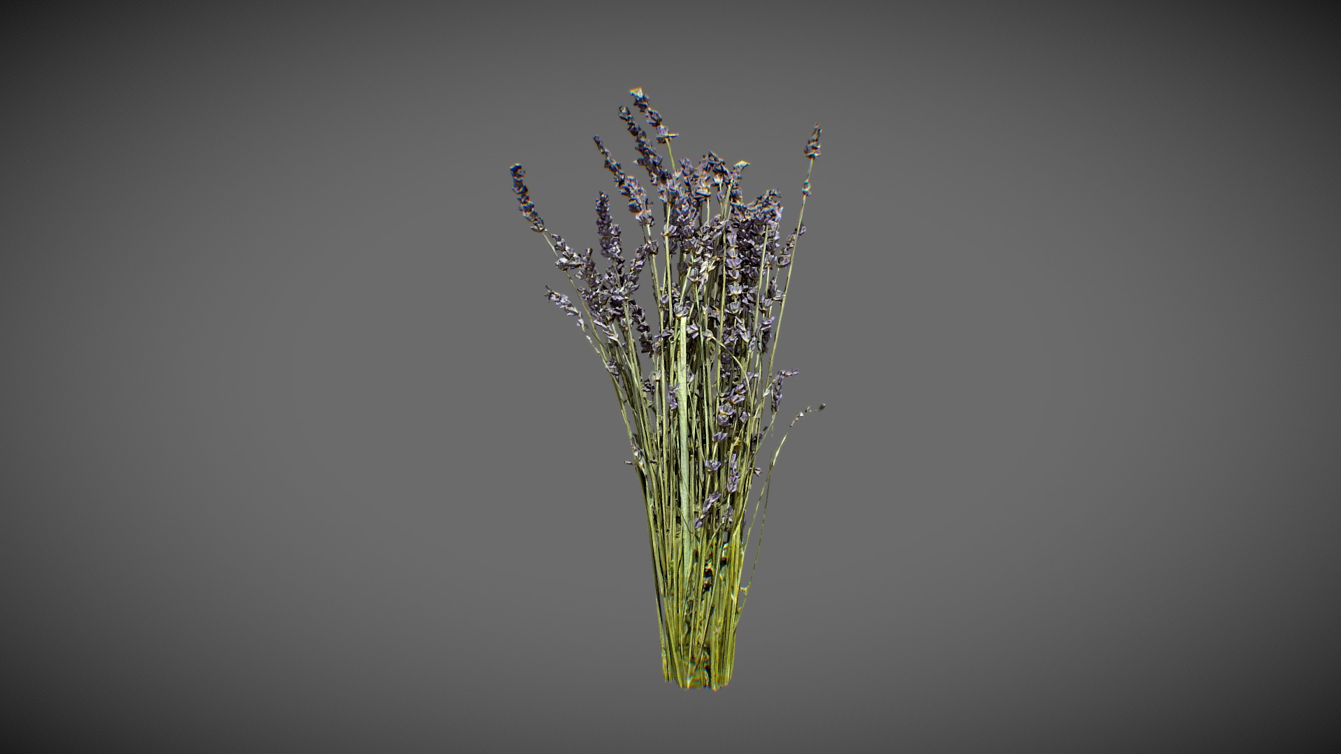 Lavender Bouquet 3D Model