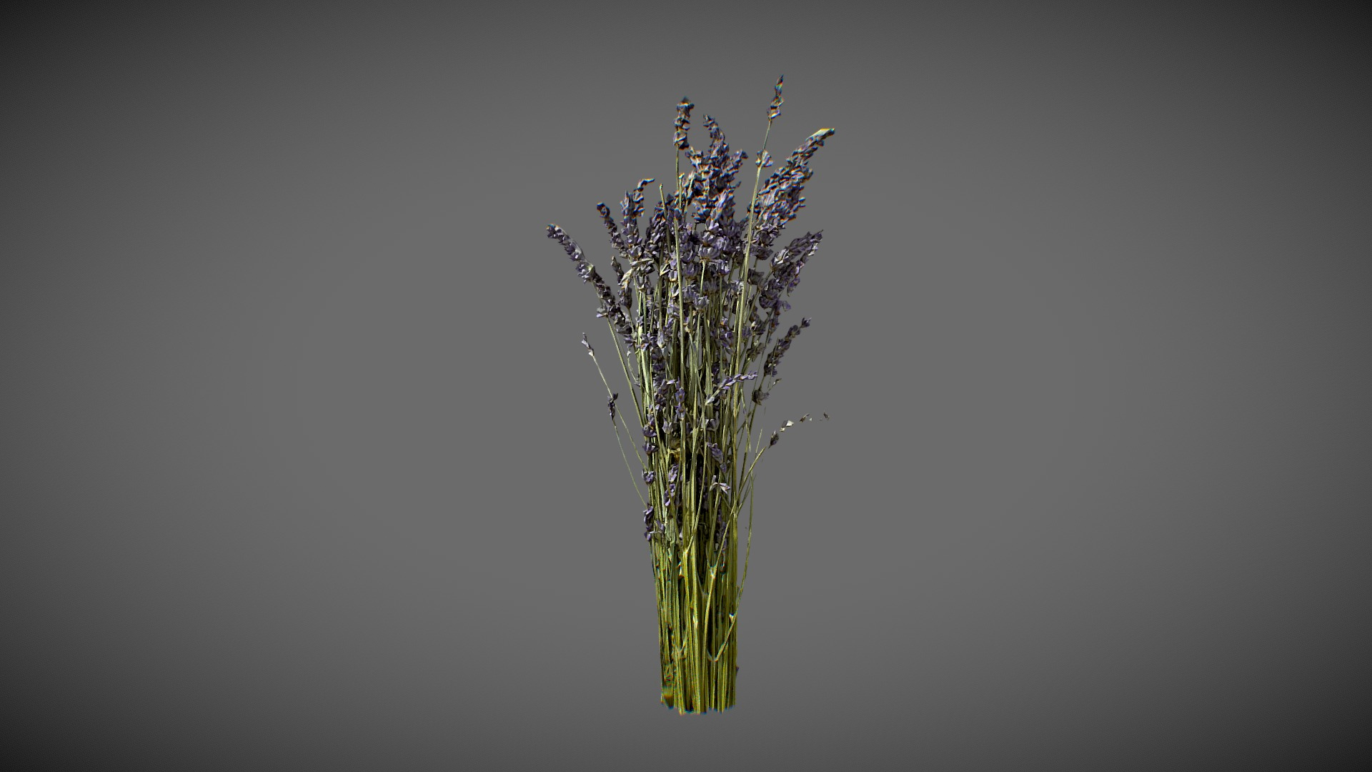 Lavender Bouquet 3D Model