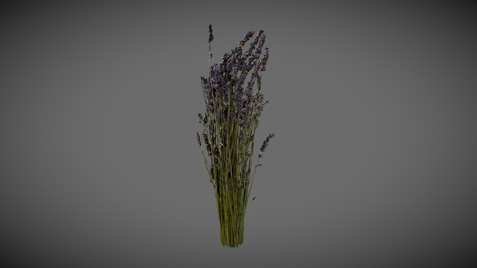 Lavender Bouquet 3D Model