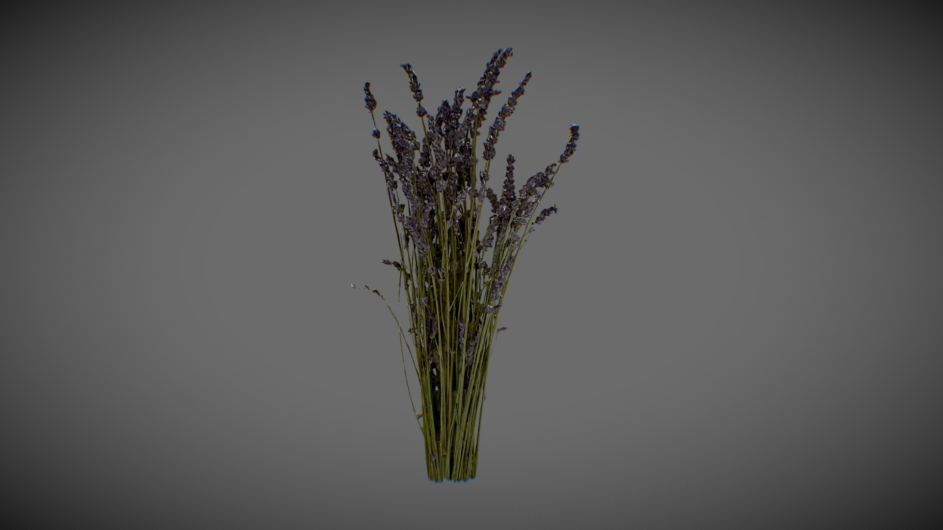 Lavender Bouquet 3D Model