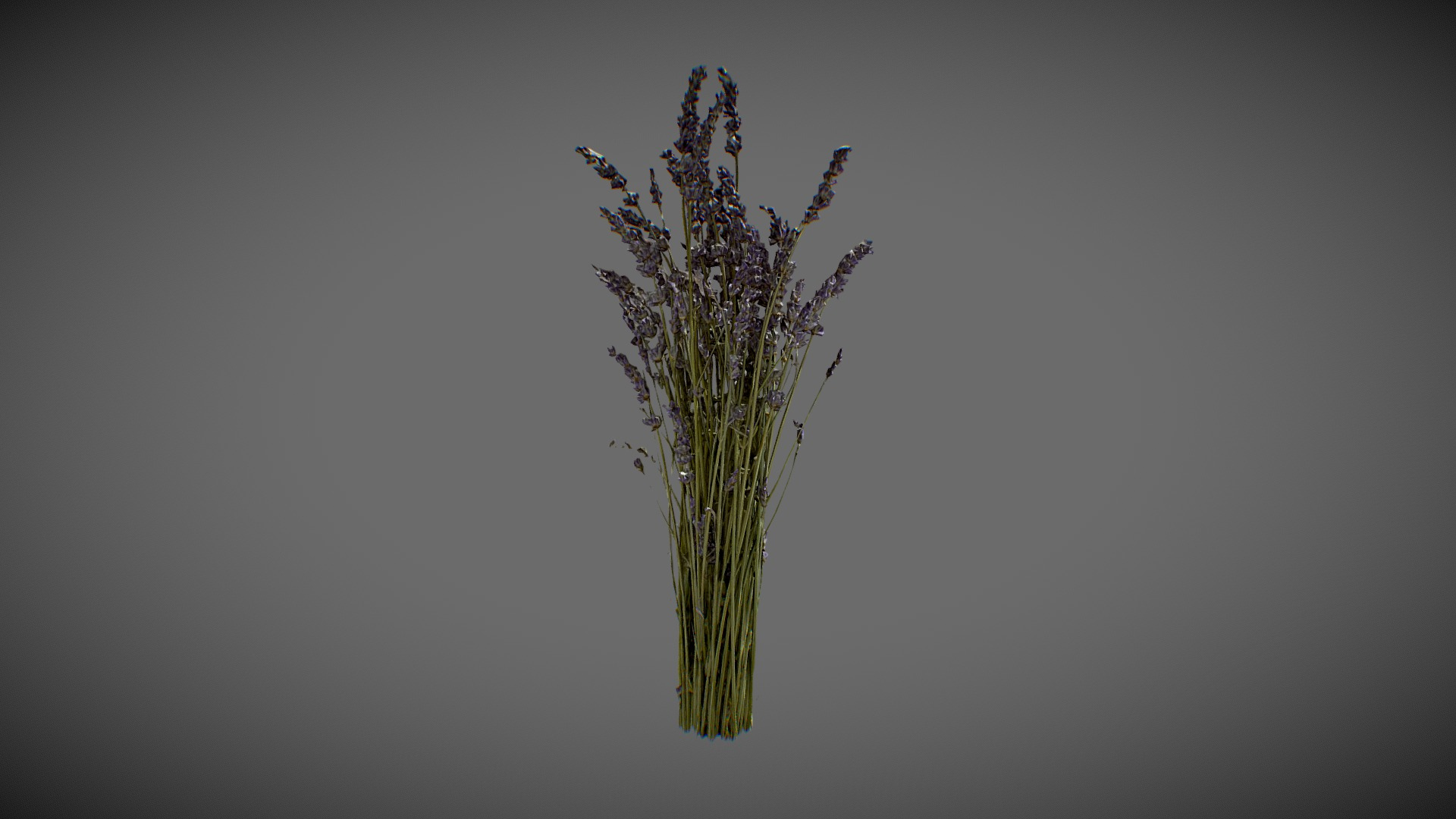 Lavender Bouquet 3D Model