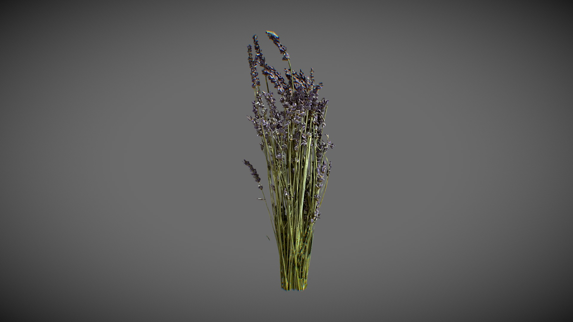 Lavender Bouquet 3D Model