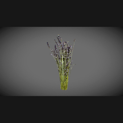 Lavender Bouquet