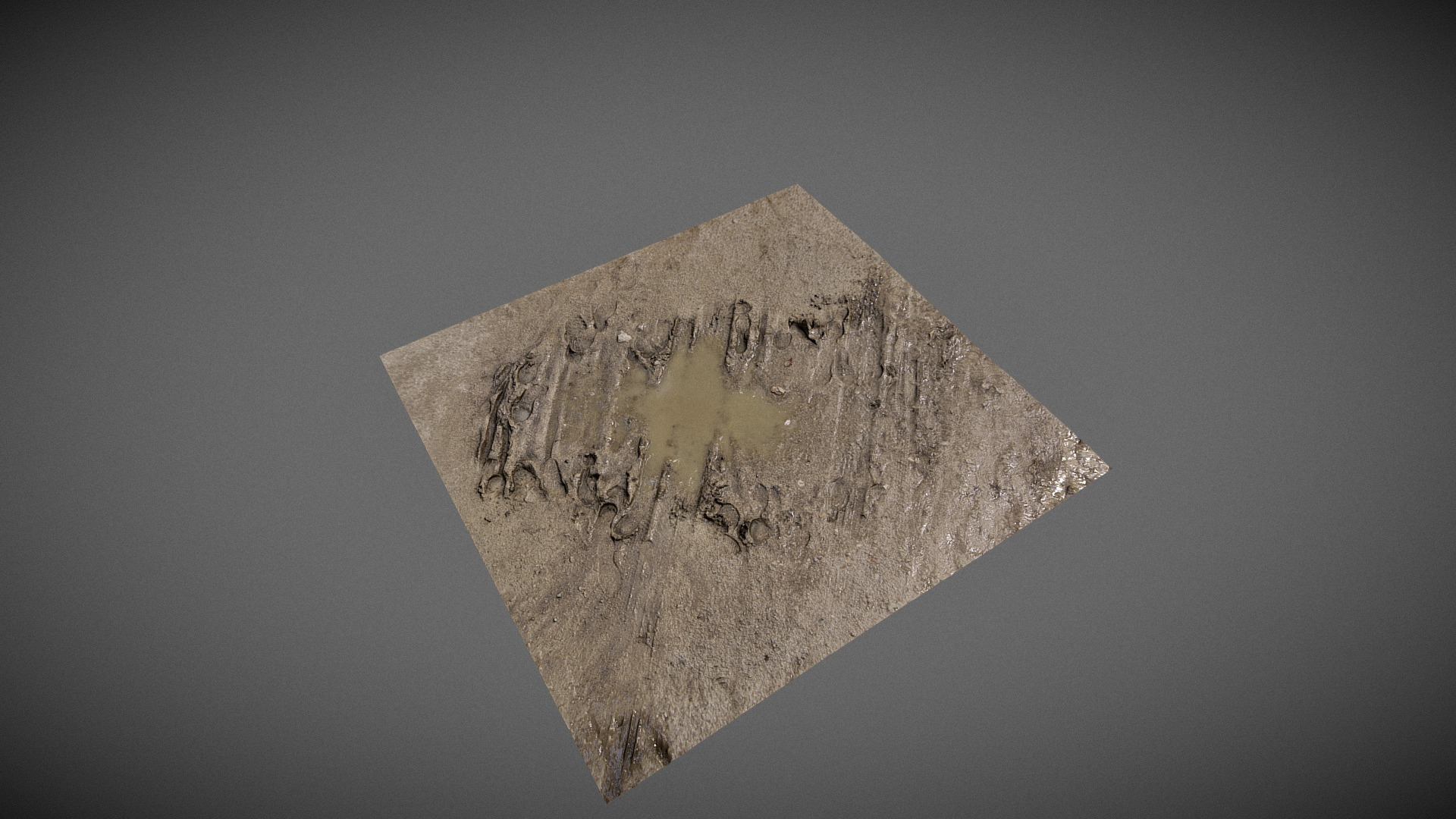 Mud Puddle - Scanned Surface 3D Model