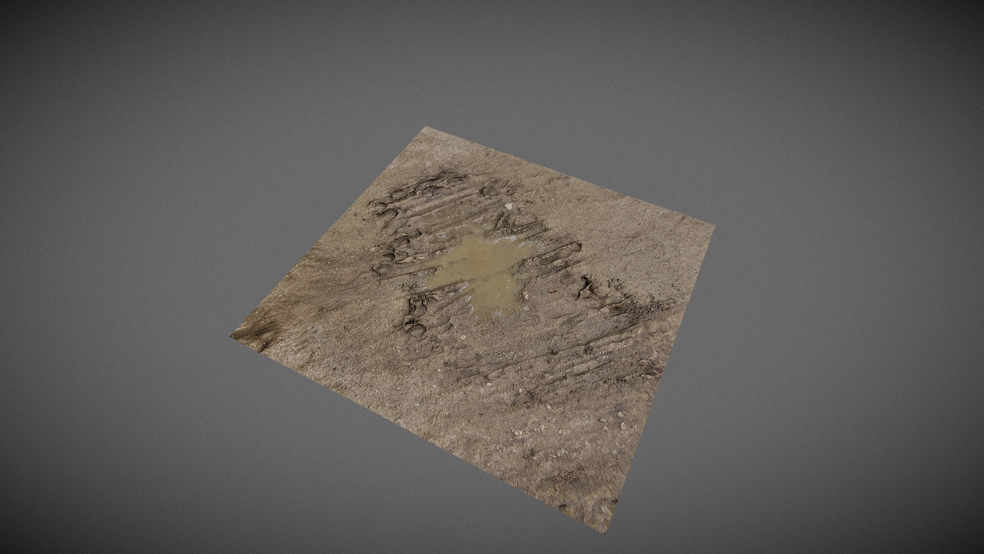 Mud Puddle - Scanned Surface 3D Model