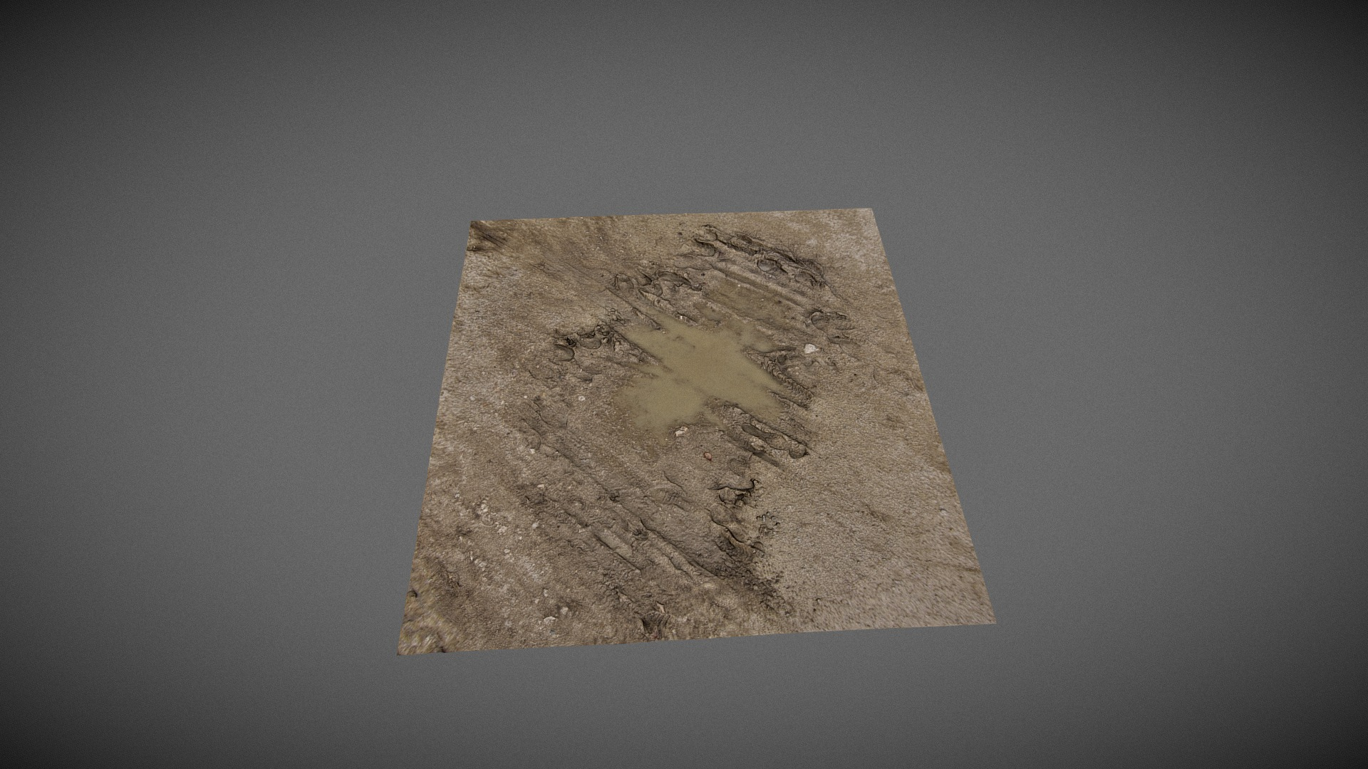 Mud Puddle - Scanned Surface 3D Model