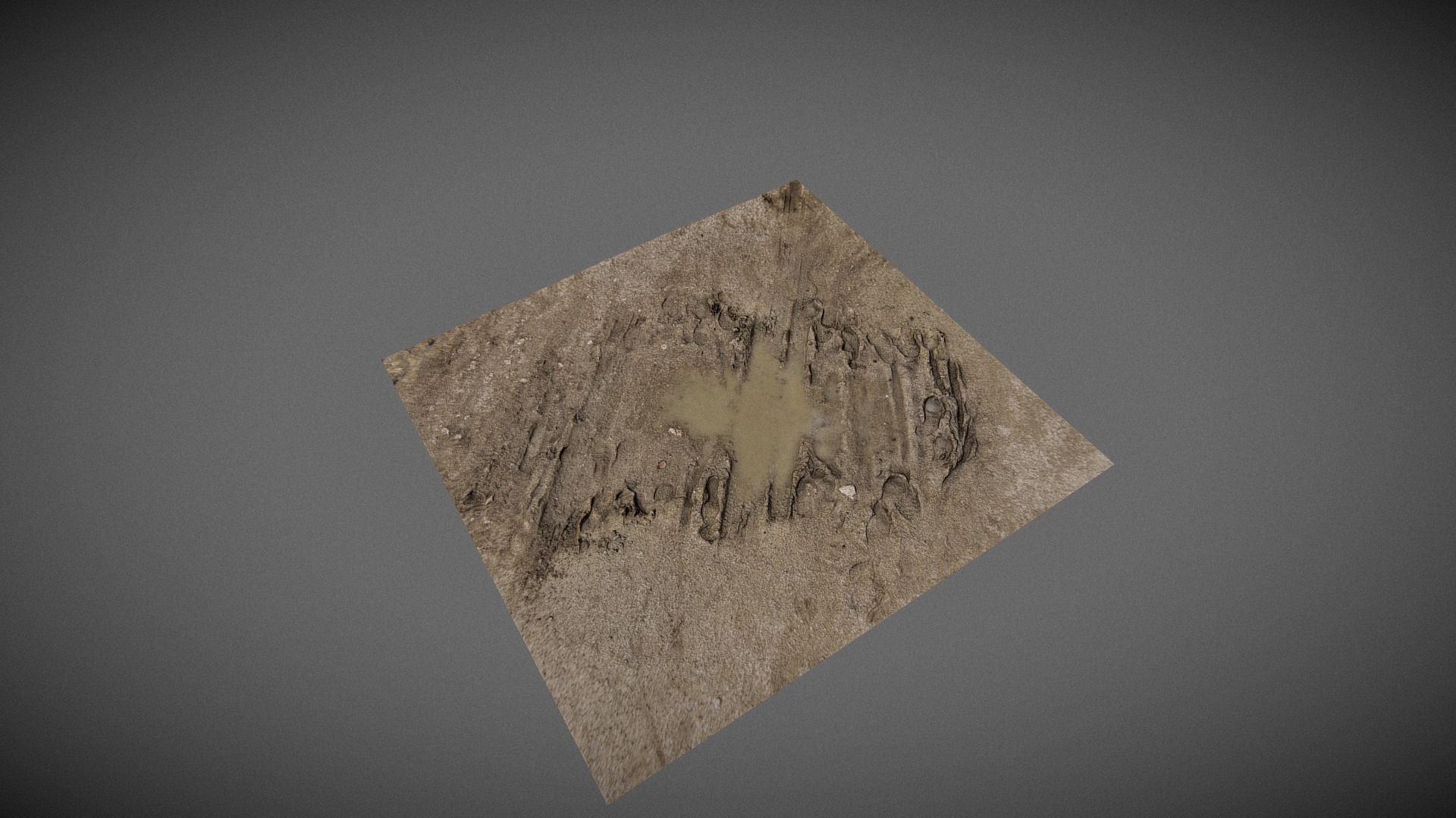 Mud Puddle - Scanned Surface 3D Model
