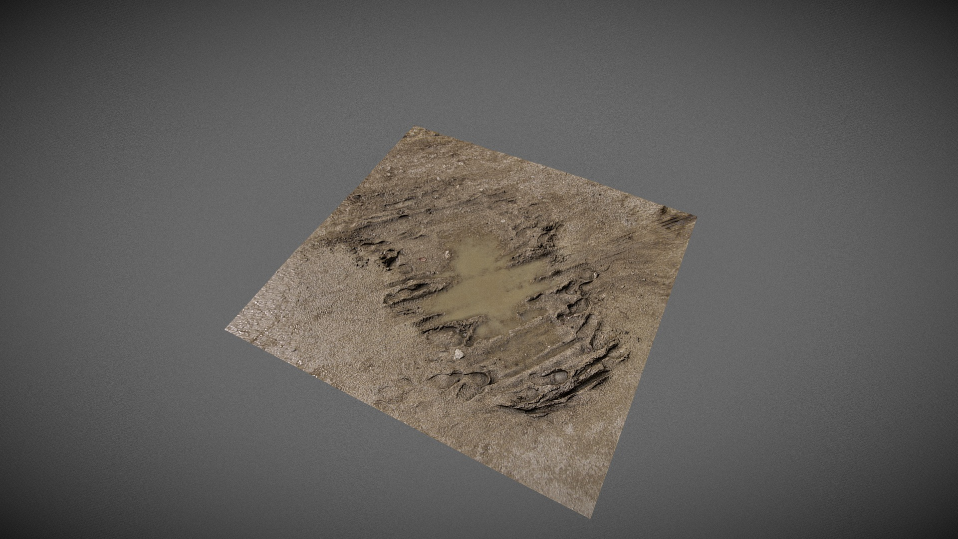 Mud Puddle - Scanned Surface 3D Model