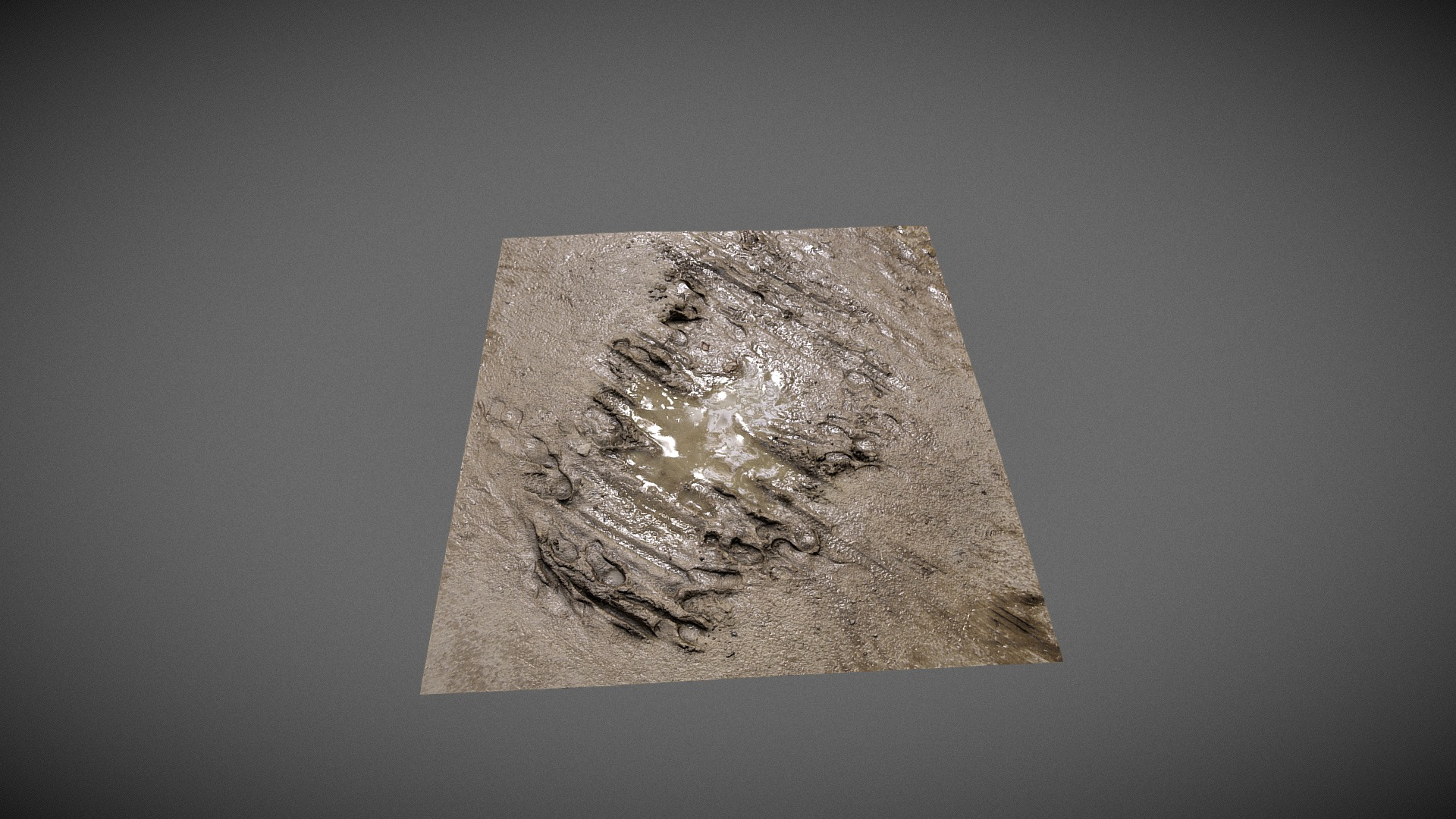 Mud Puddle - Scanned Surface 3D Model